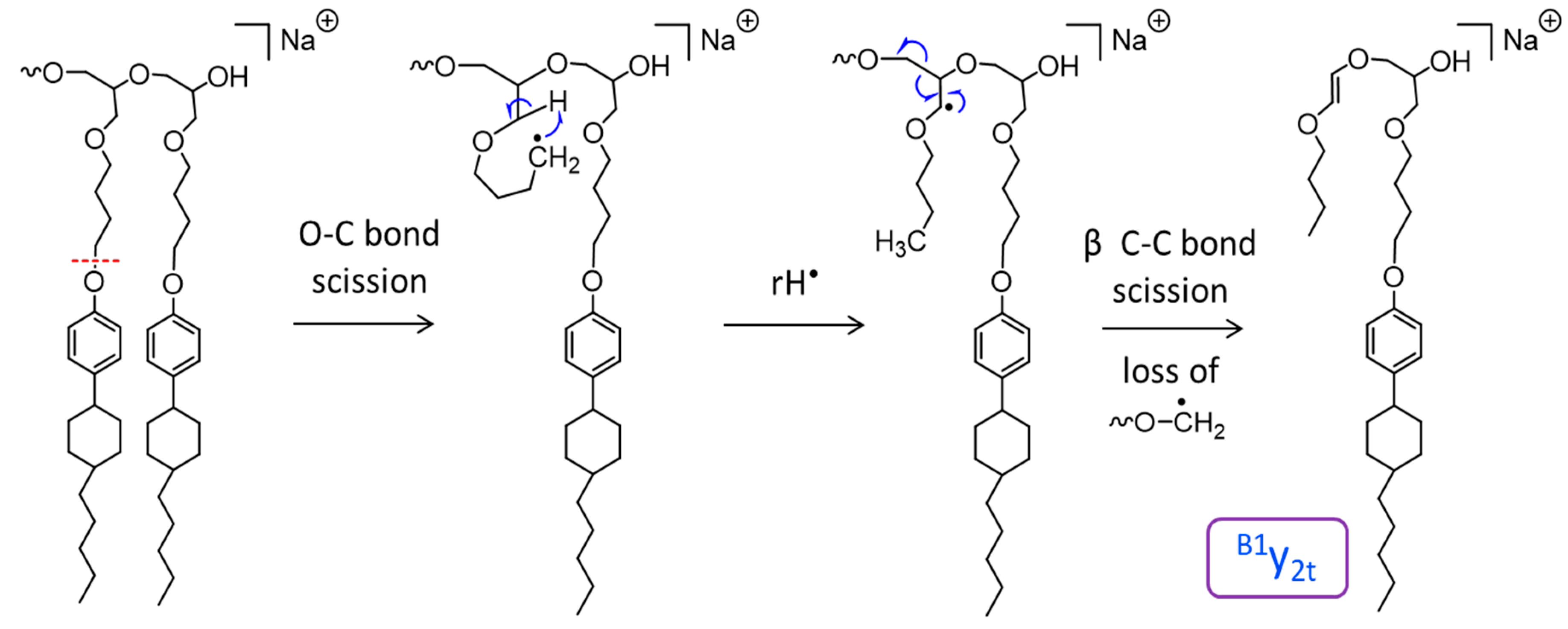Polymers 11 01118 sch003
