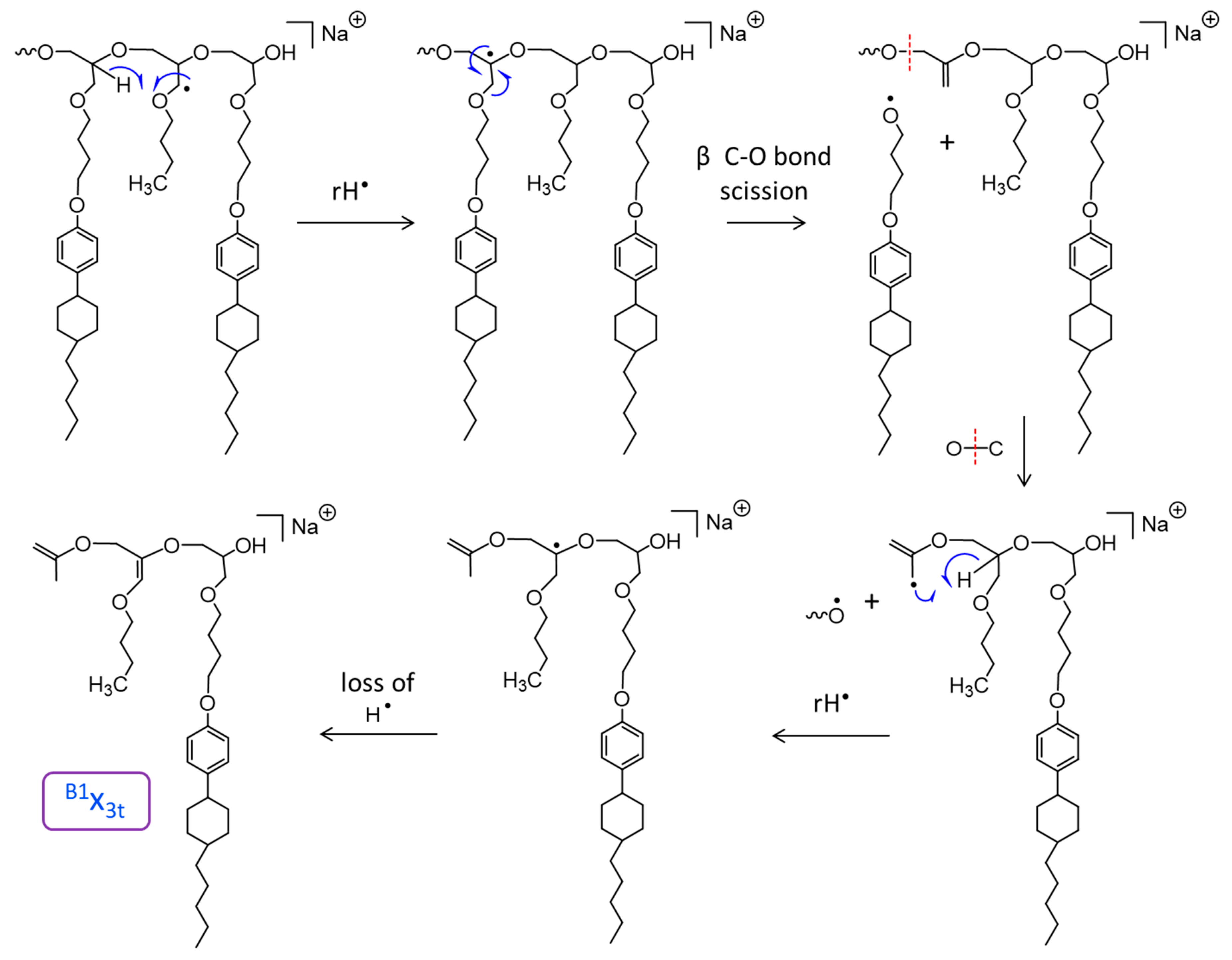 Polymers 11 01118 sch004