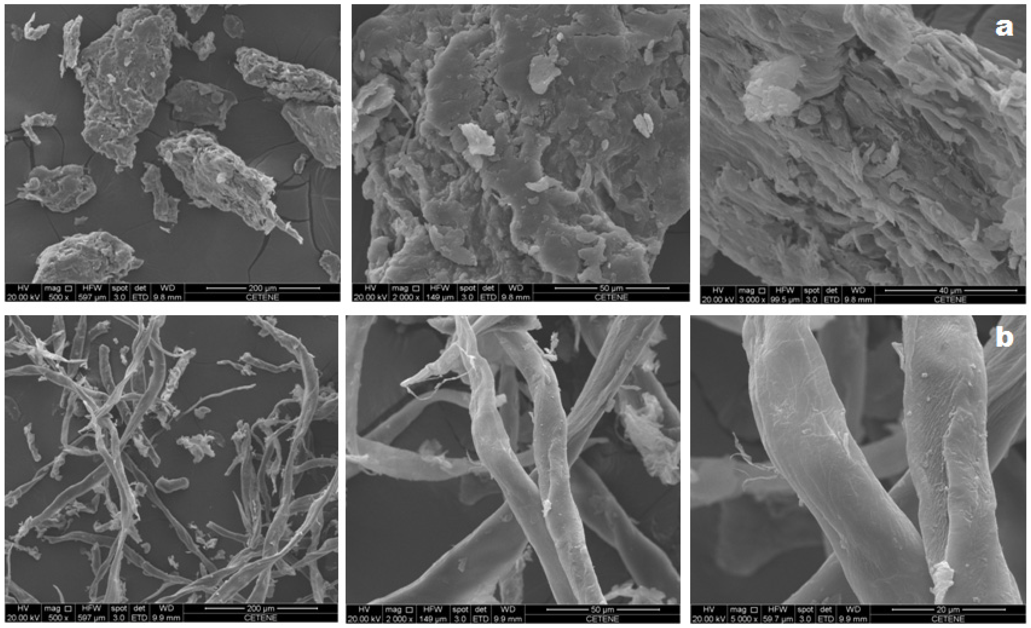 Polymers 11 01124 g002