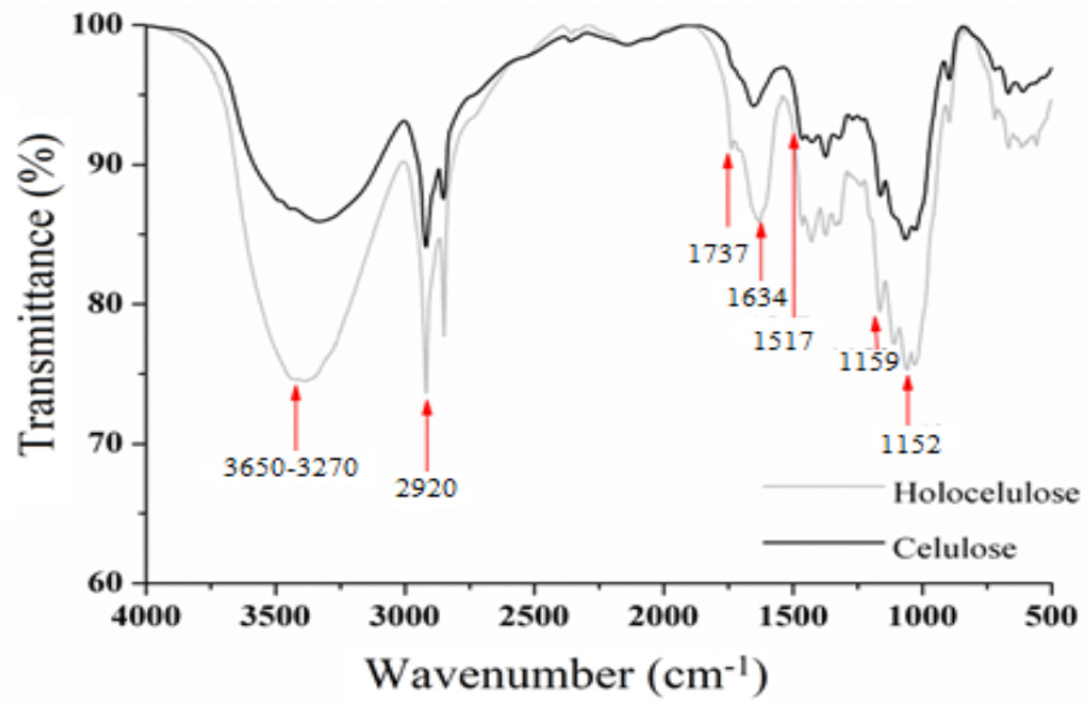 Polymers 11 01124 g006