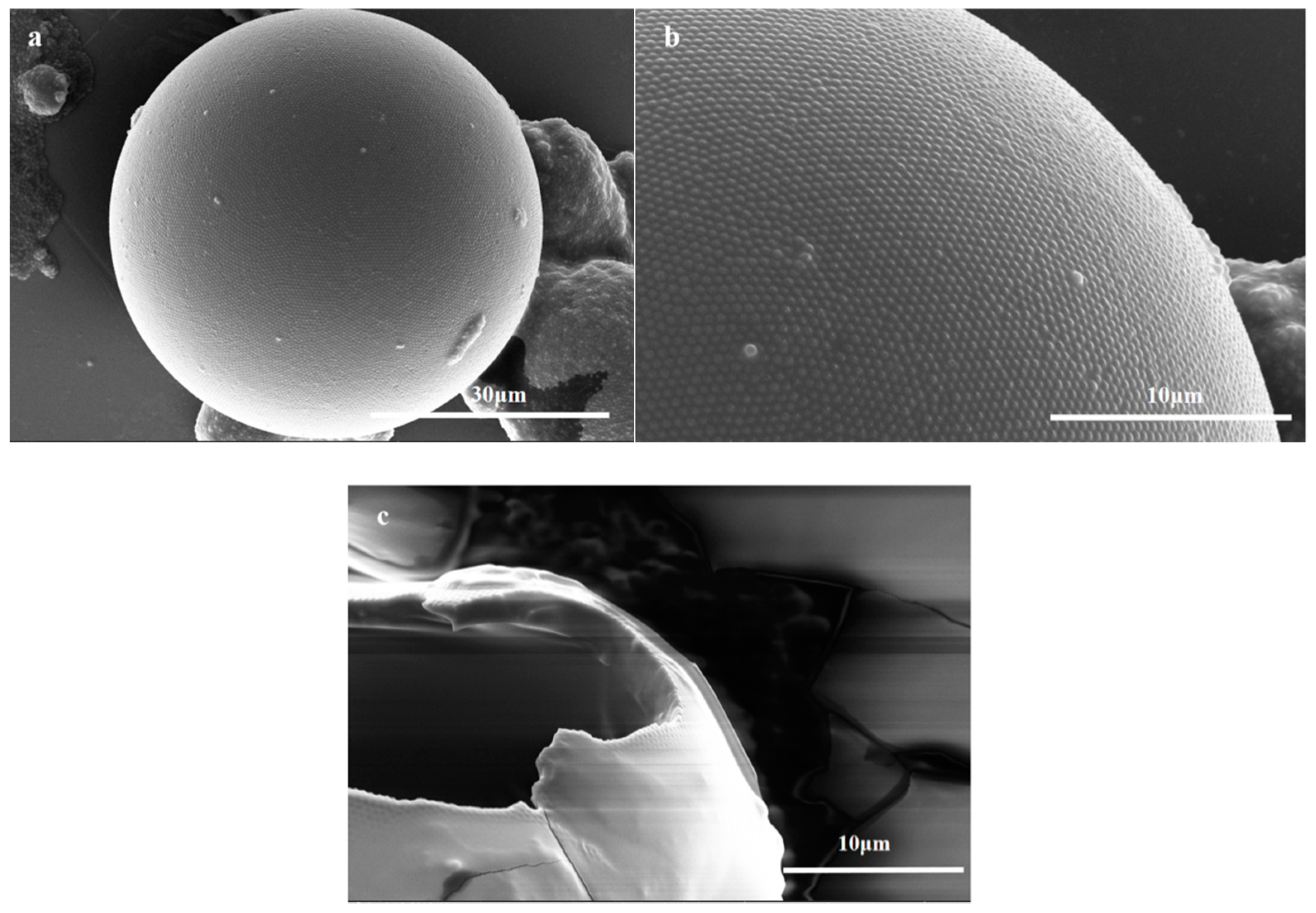 Polymers 11 01127 g002