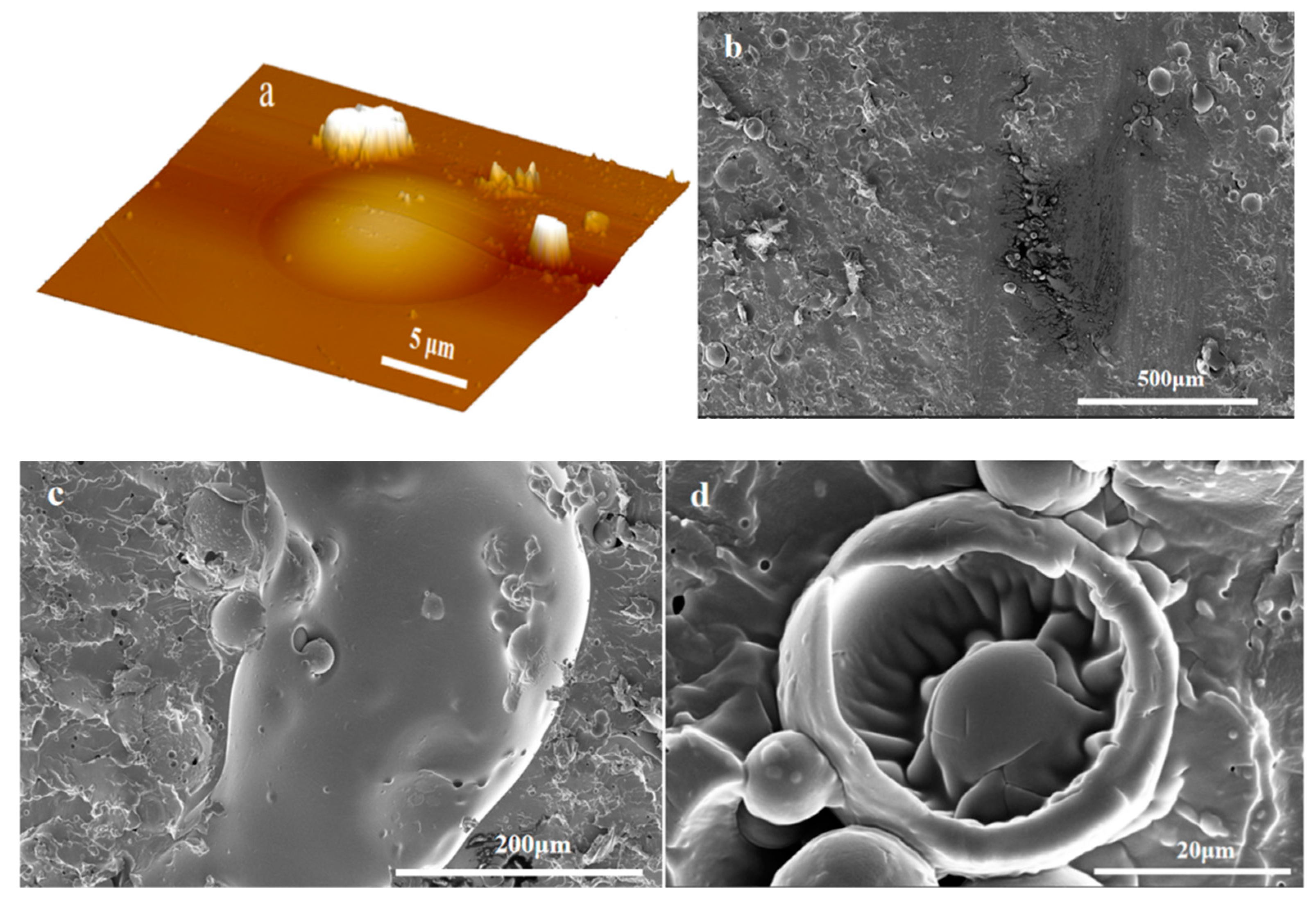 Polymers 11 01127 g007