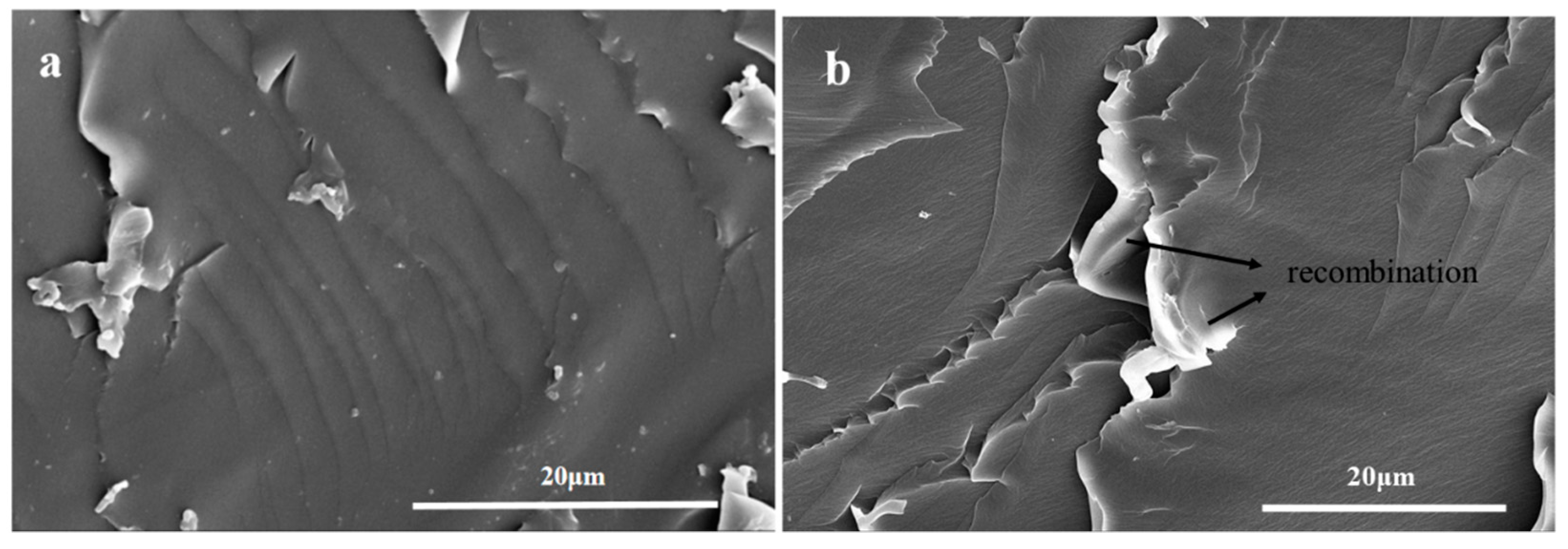 Polymers 11 01127 g008