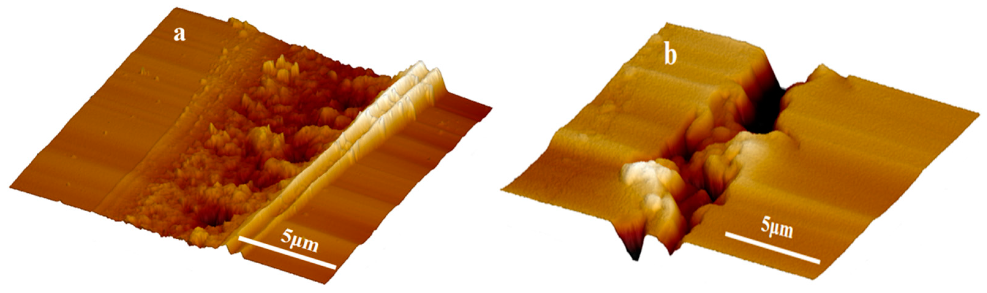 Polymers 11 01127 g009