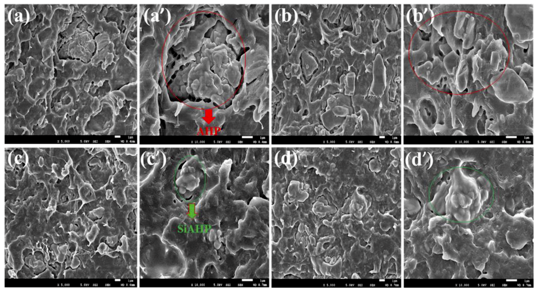 Polymers 11 01129 g004
