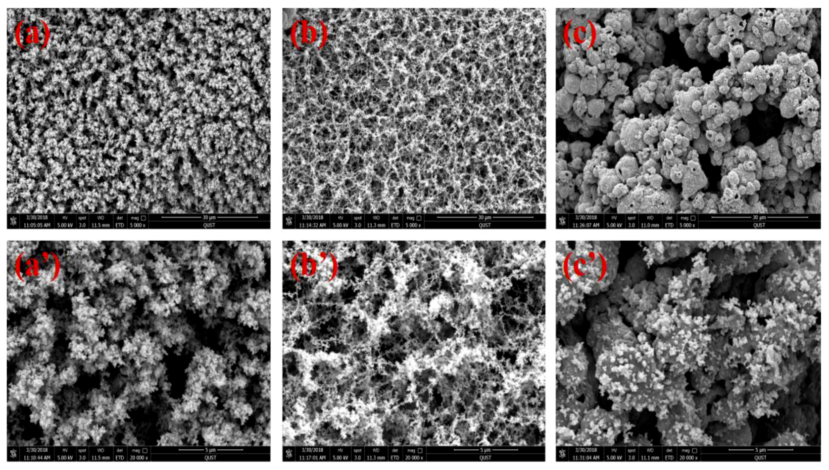 Polymers 11 01129 g011