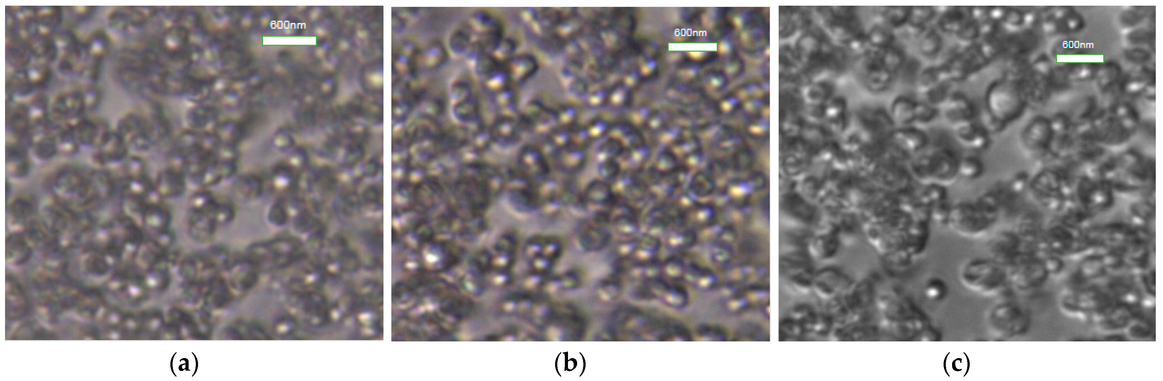 Polymers 11 01131 g009 Polymers 11 01131 g009
