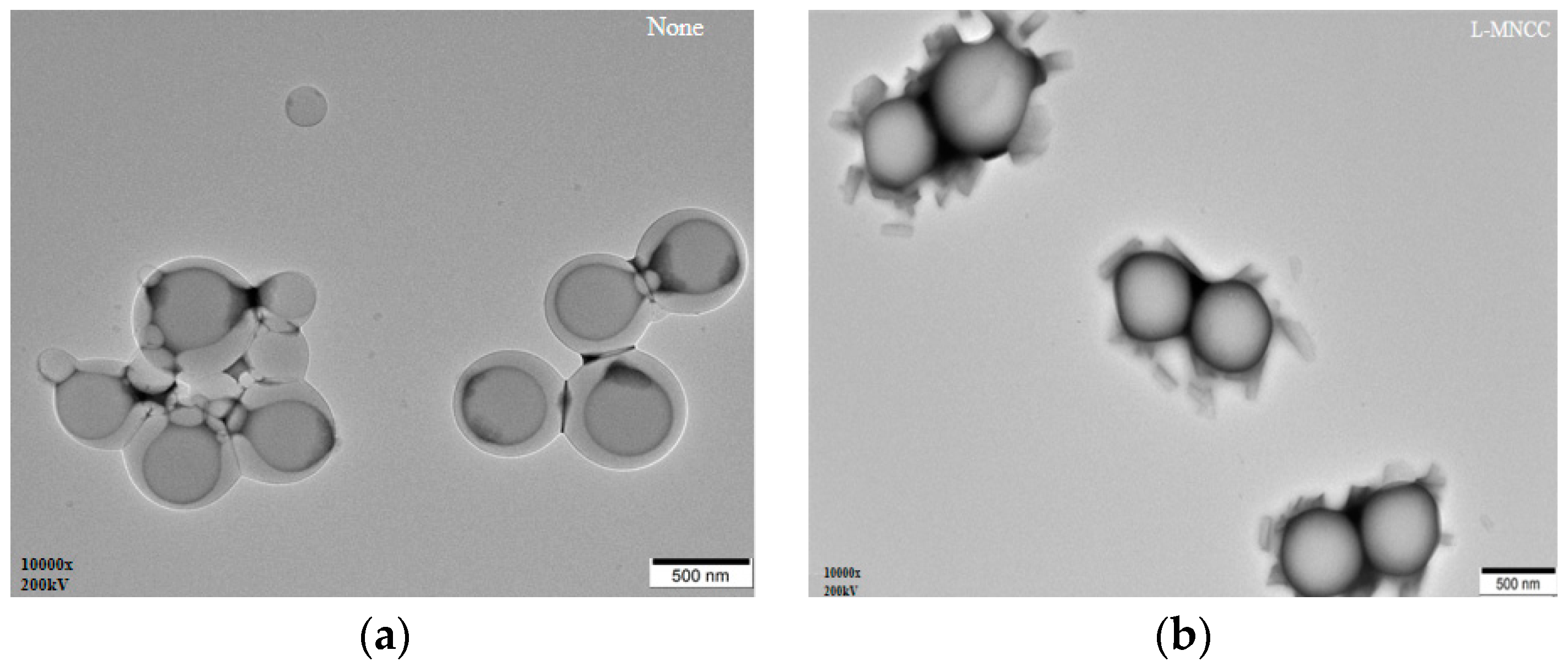 Polymers 11 01131 g010a Polymers 11 01131 g010a