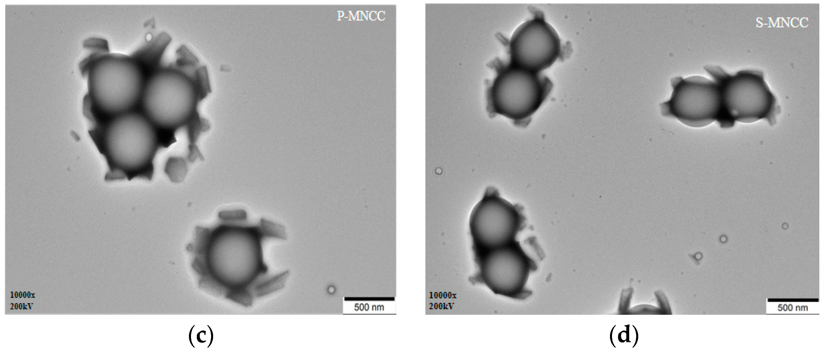 Polymers 11 01131 g010b Polymers 11 01131 g010b