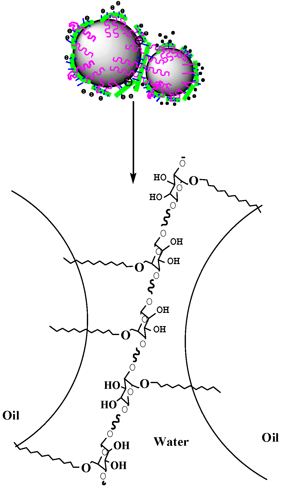 Polymers 11 01131 g012 Polymers 11 01131 g012