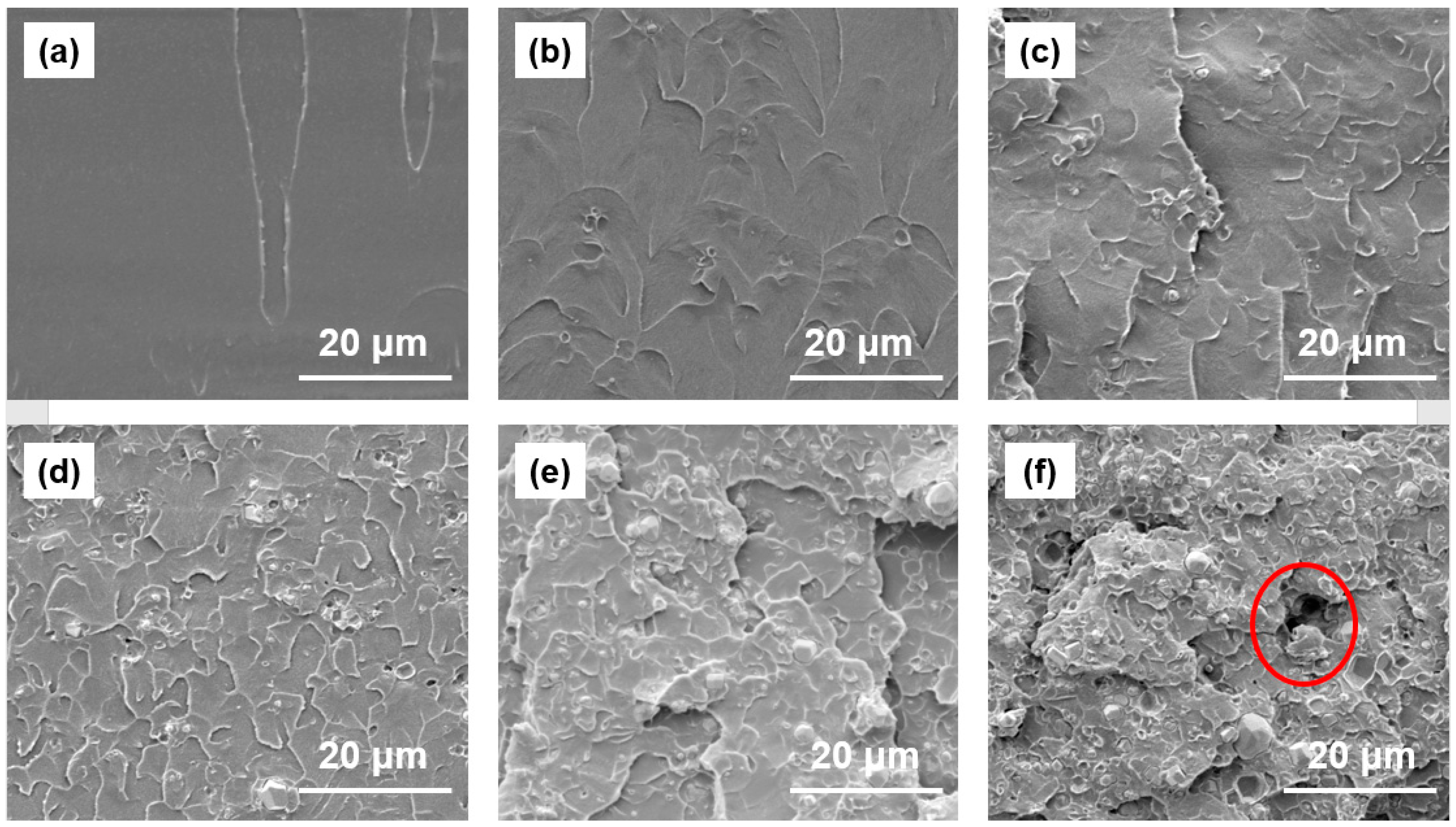 Polymers 11 01136 g001