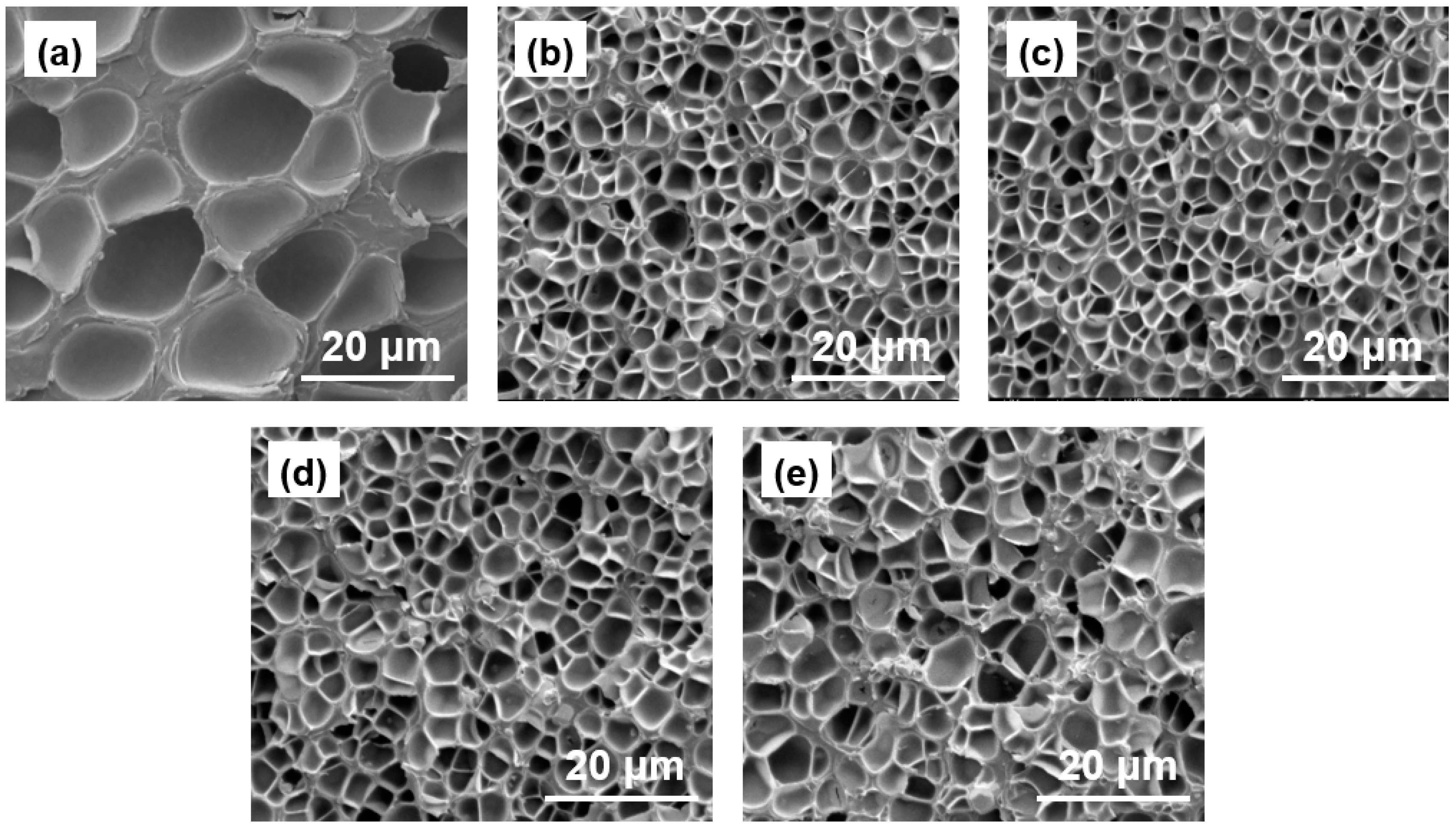 Polymers 11 01136 g003