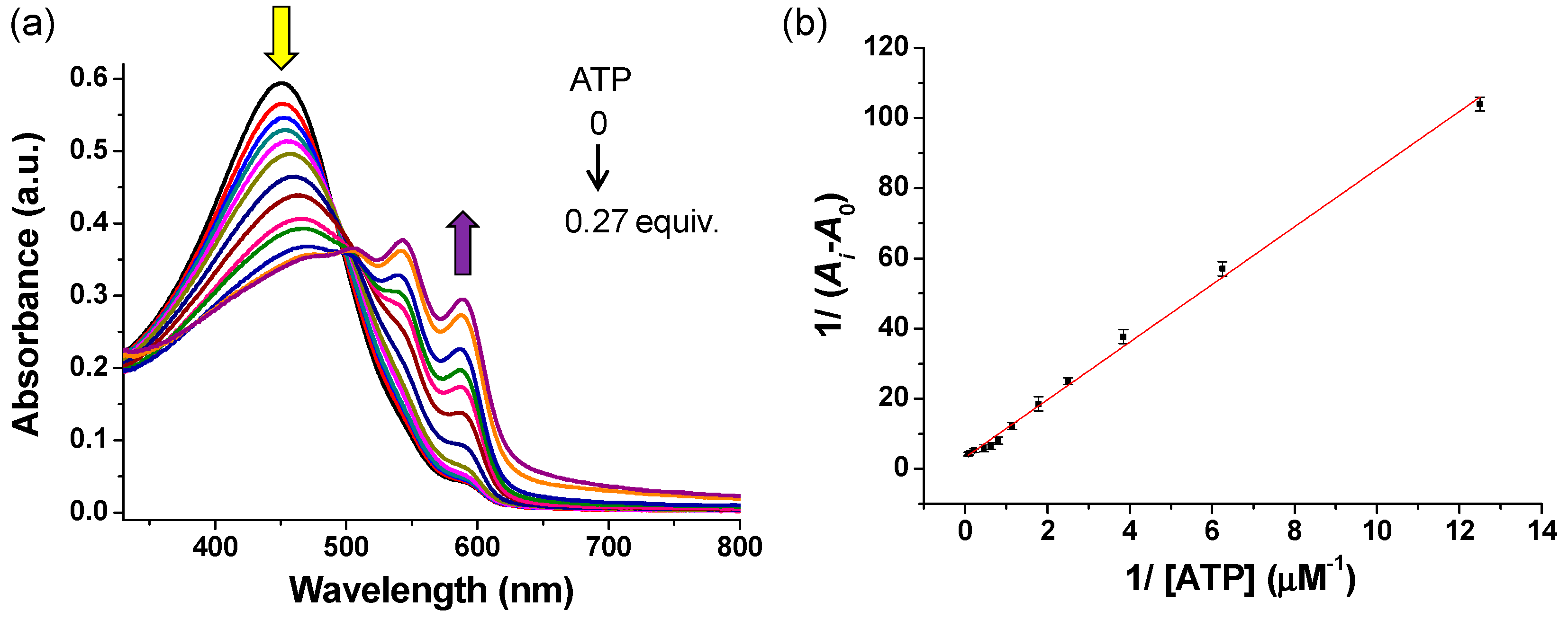 Polymers 11 01139 g003