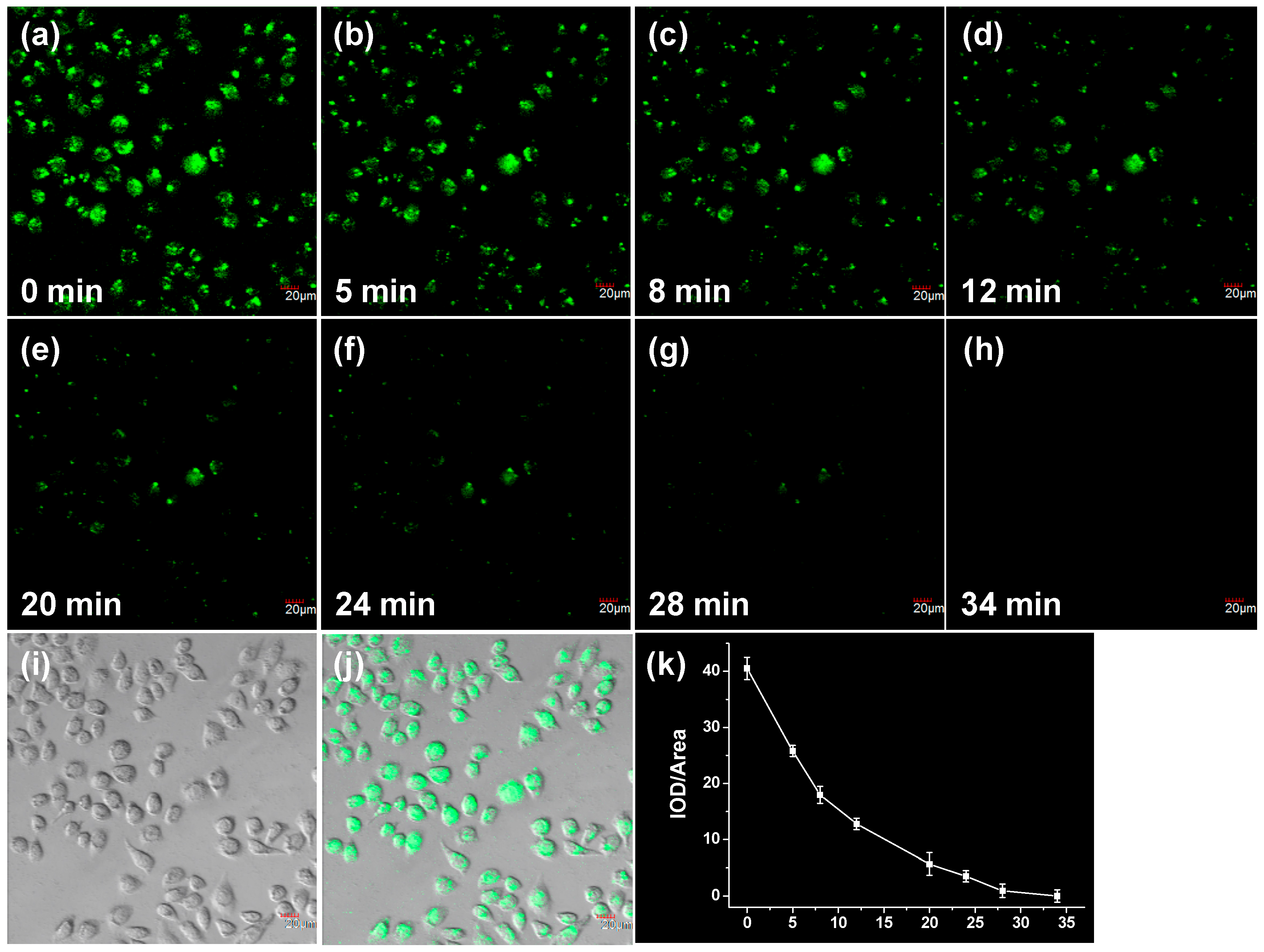 Polymers 11 01139 g007