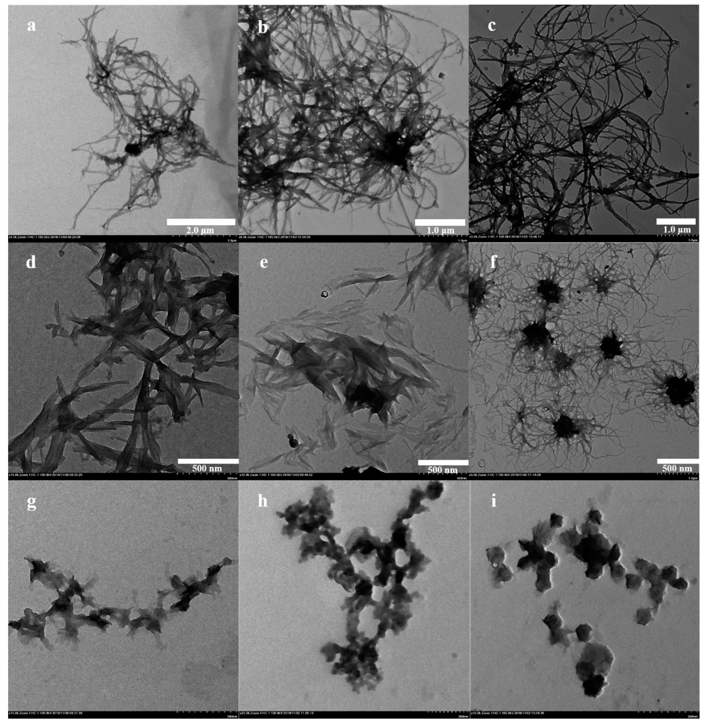 Polymers 11 01143 g009