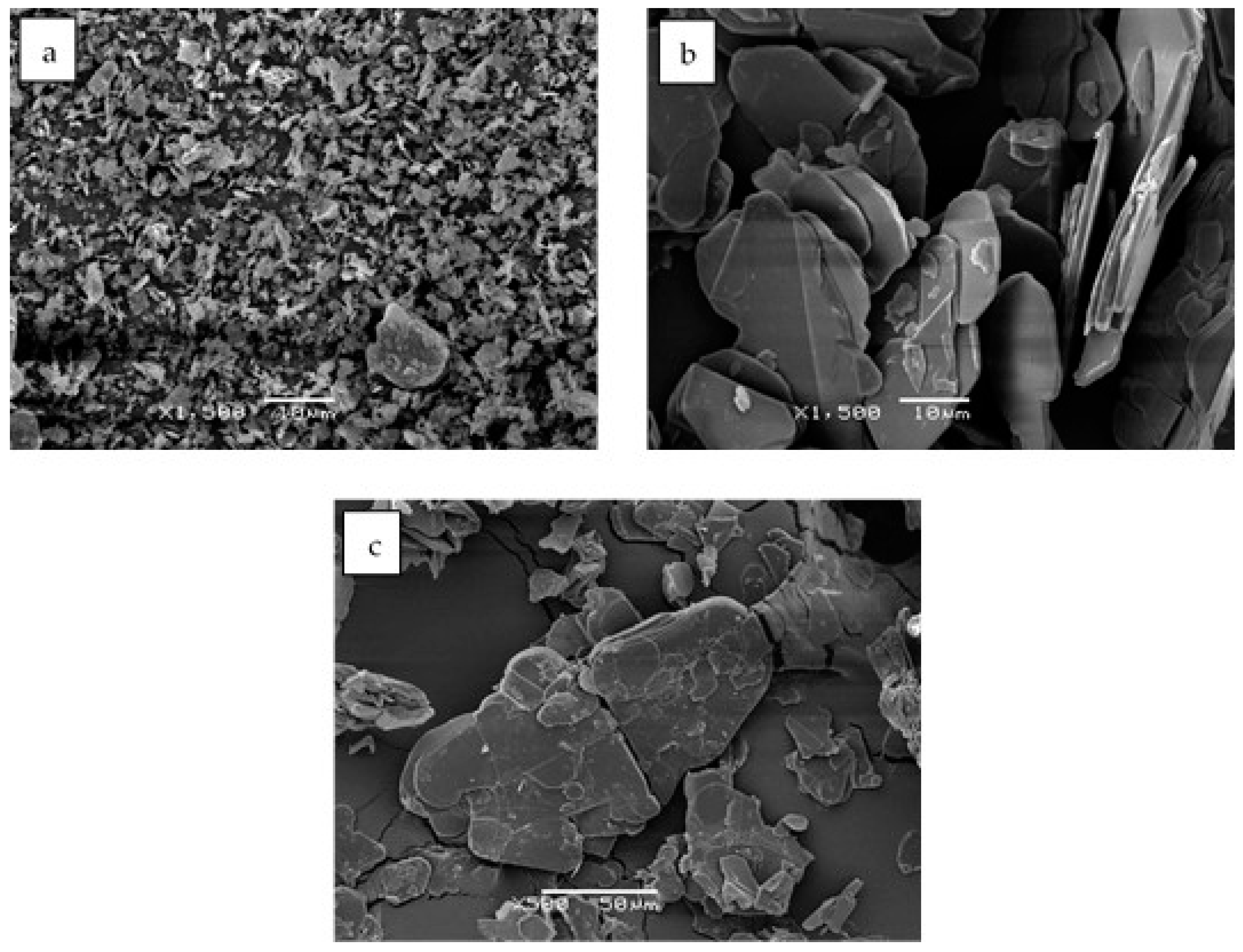 Polymers 11 01156 g001