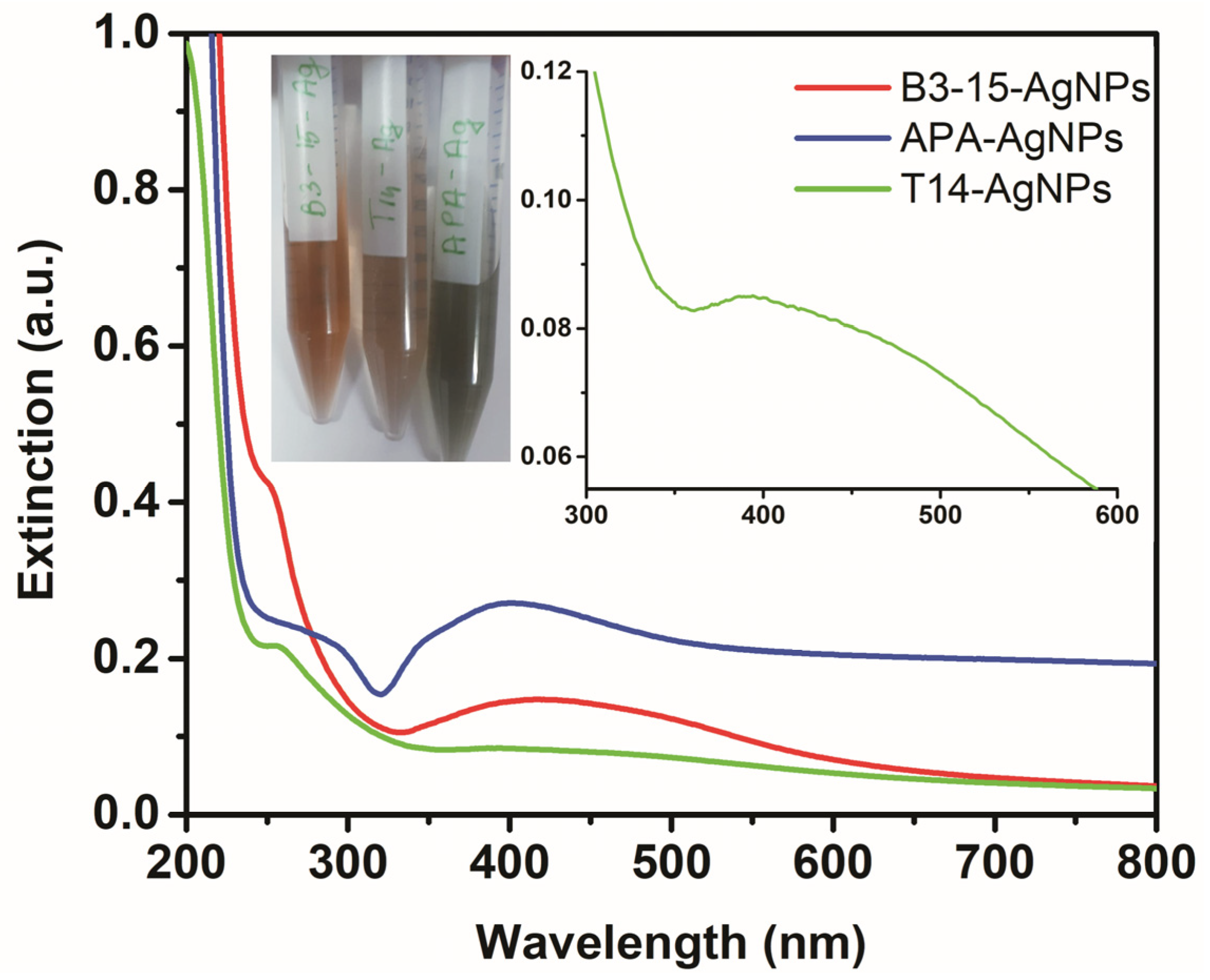 Polymers 11 01157 g002 Polymers 11 01157 g002
