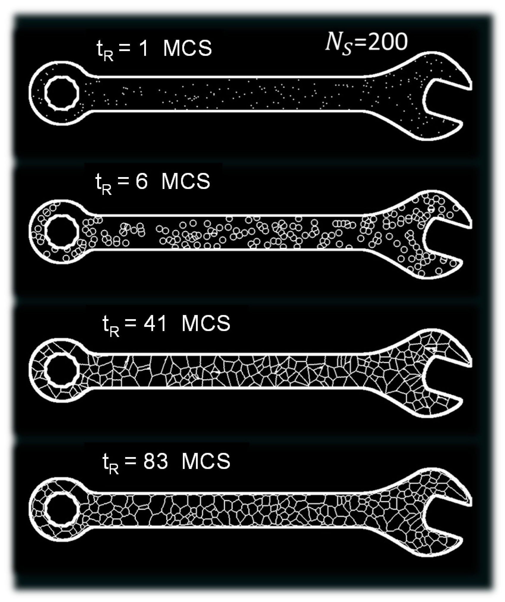 Polymers 11 01158 g001
