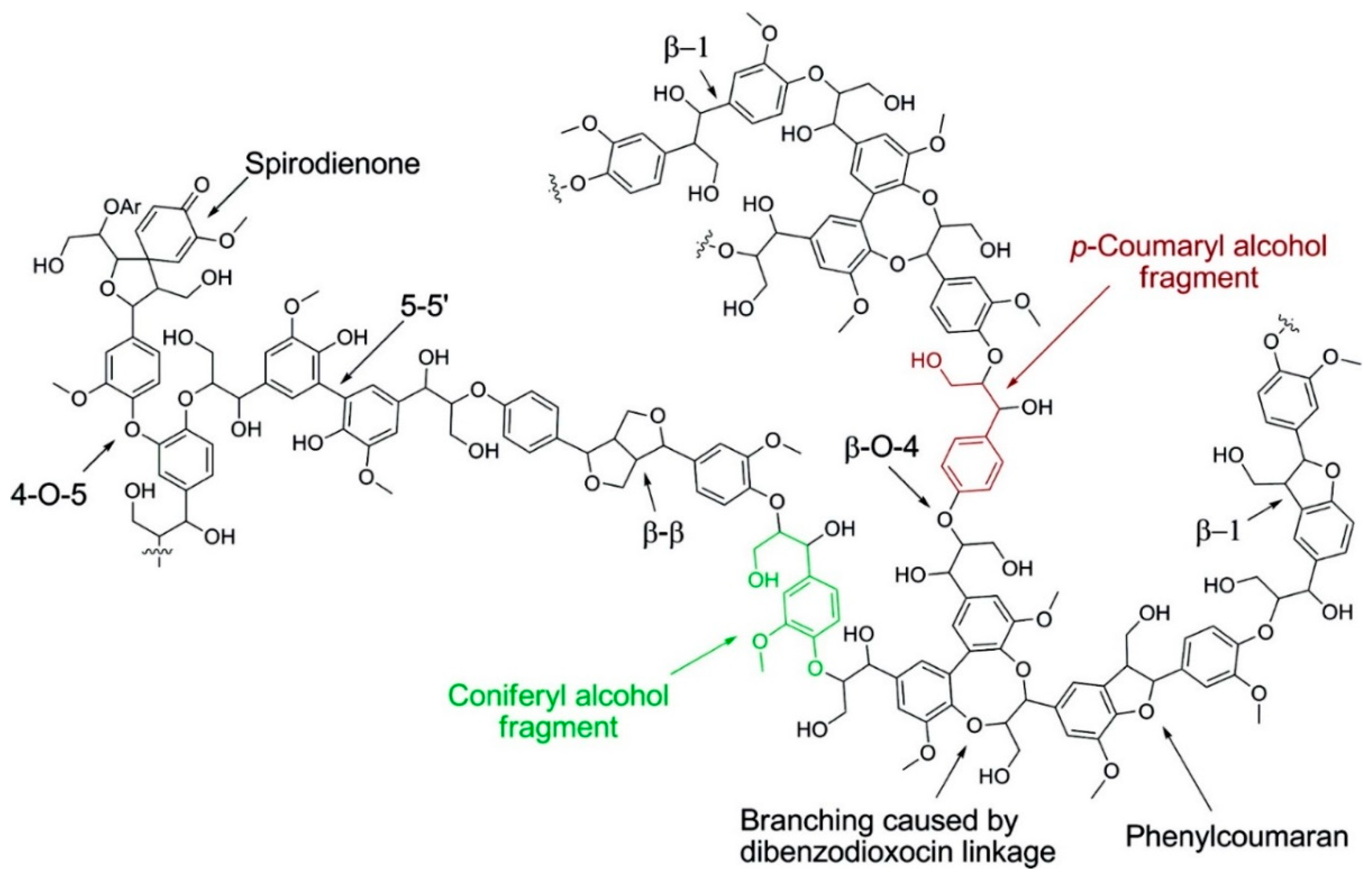 Polymers 11 01176 g003