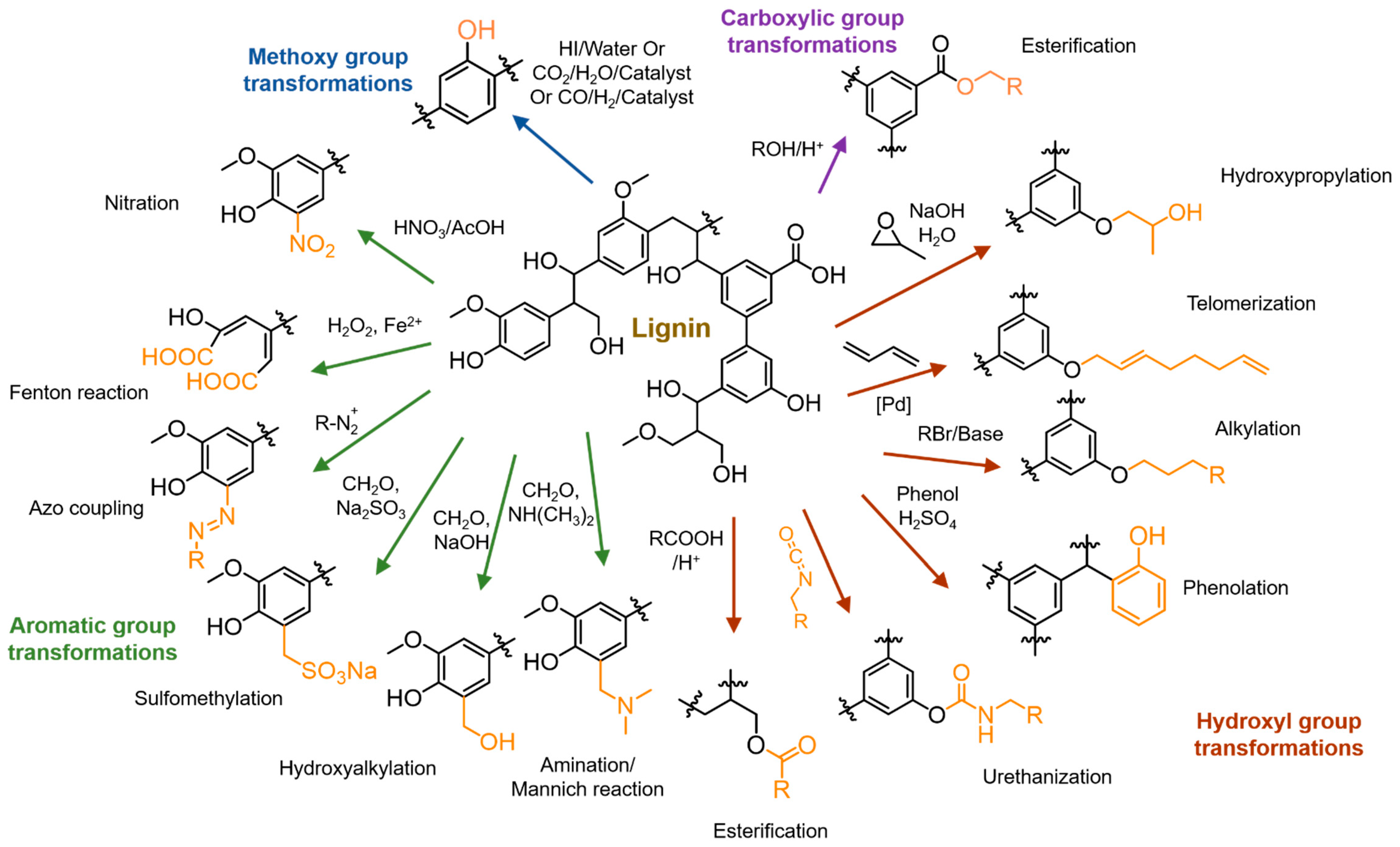 Polymers 11 01176 g005