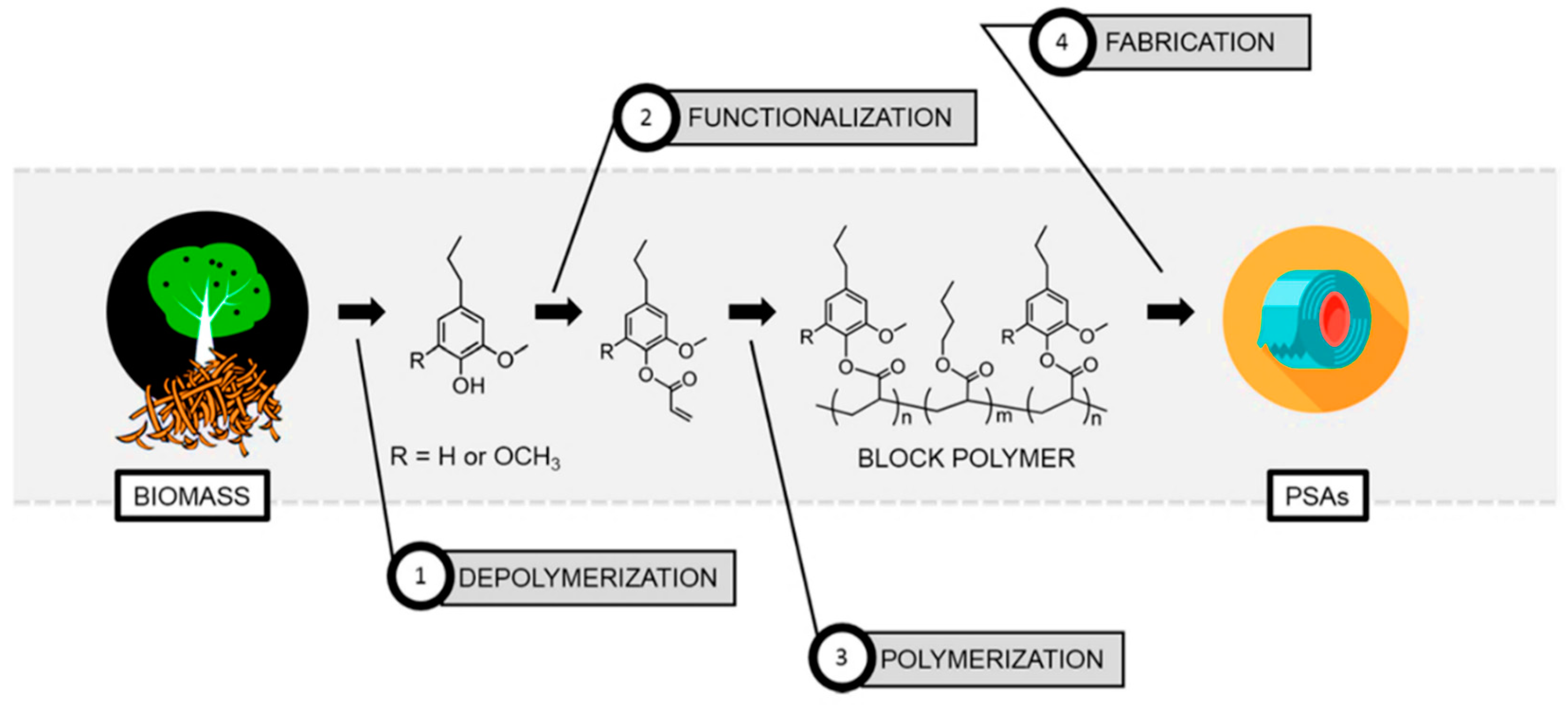 Polymers 11 01176 g011