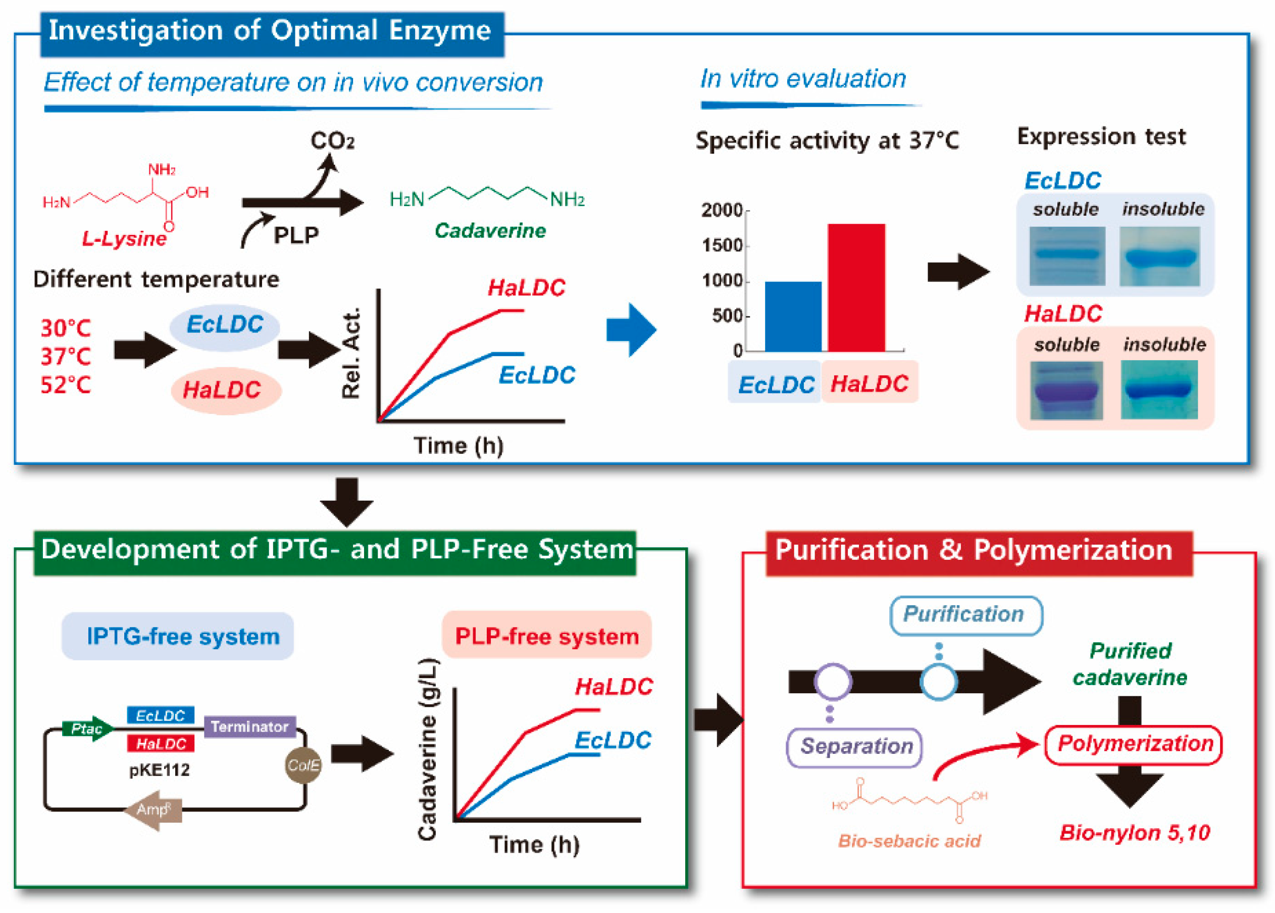 Polymers 11 01184 g001