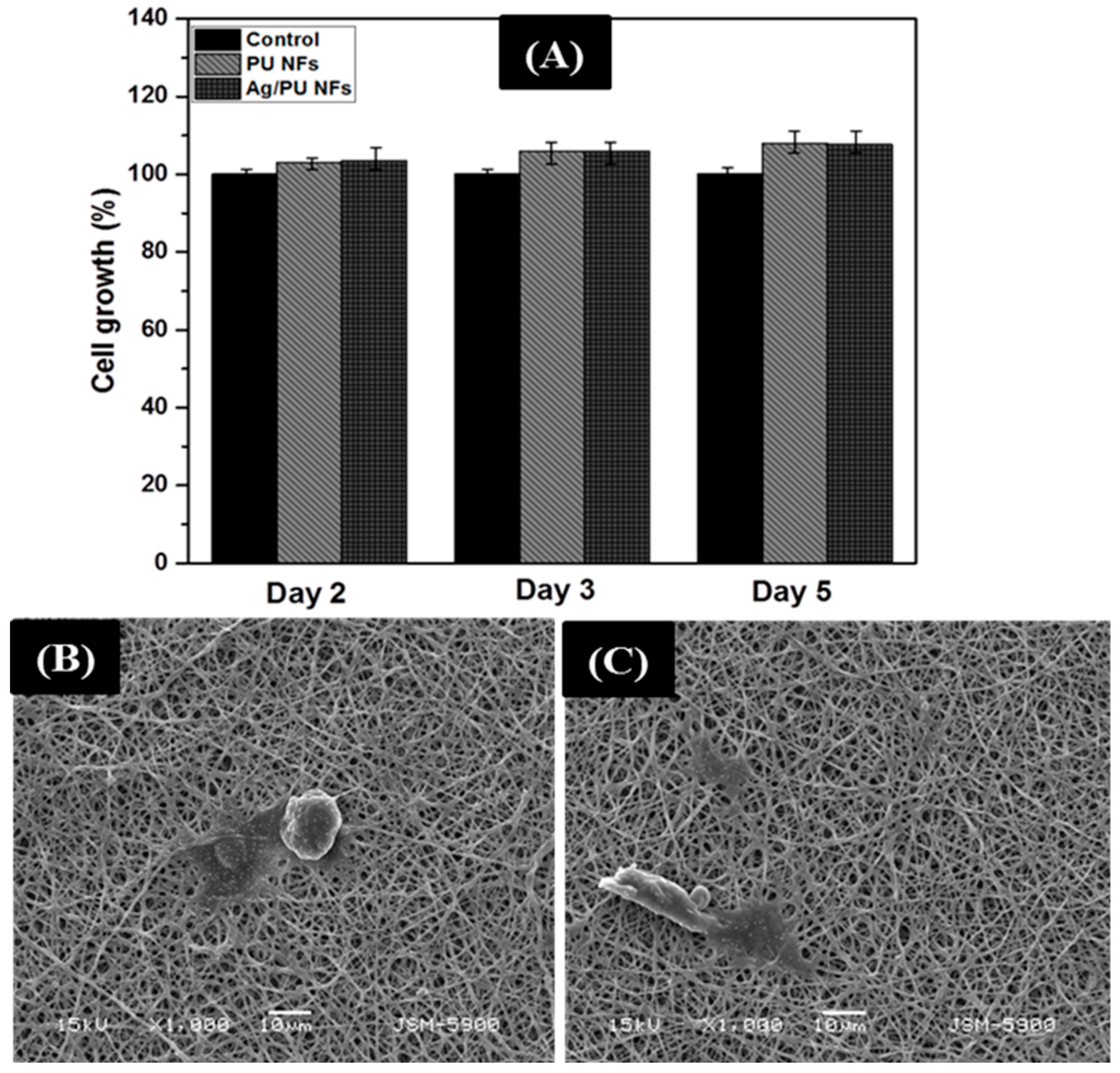 Polymers 11 01185 g008