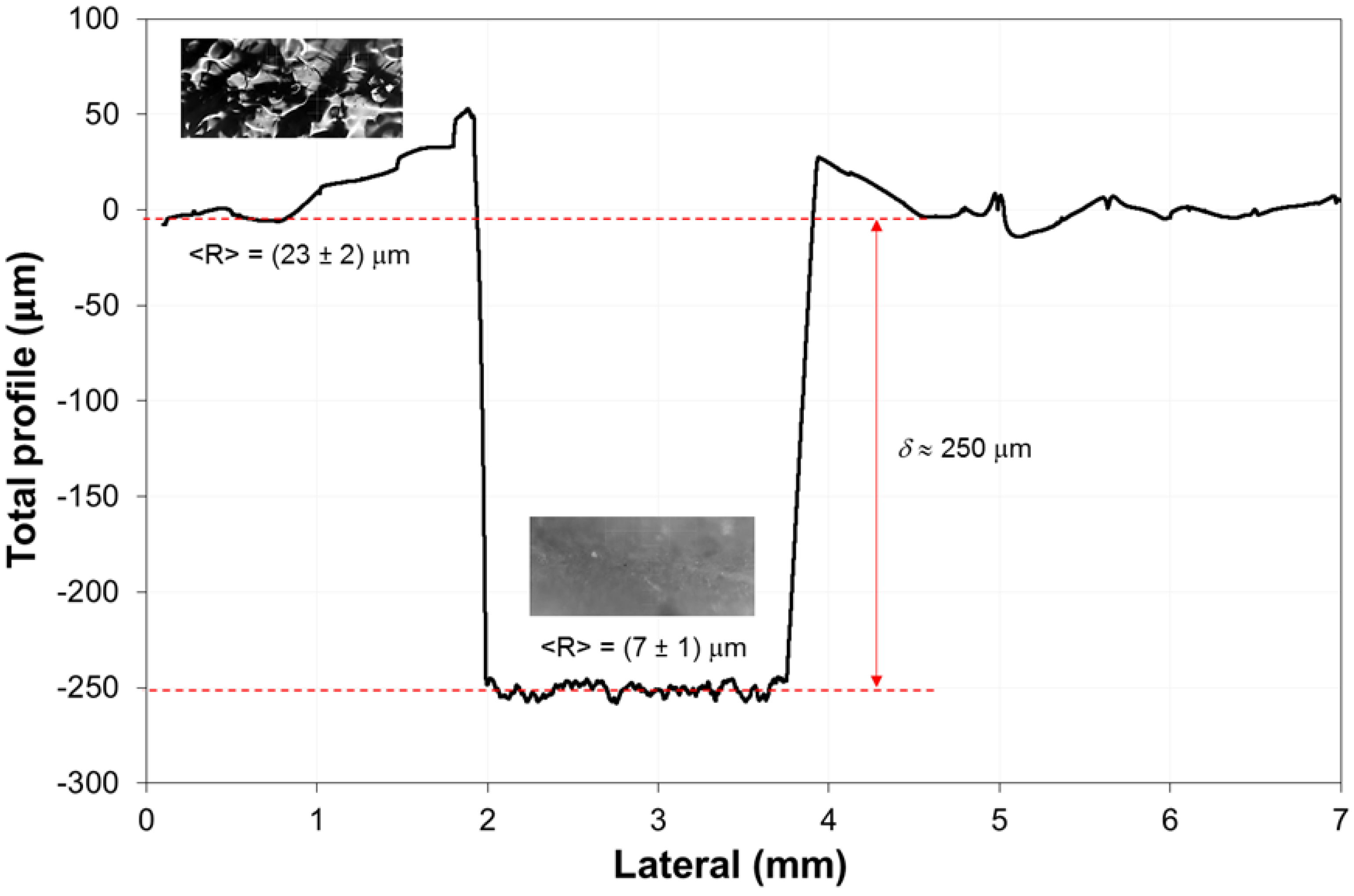 Polymers 11 01190 g004