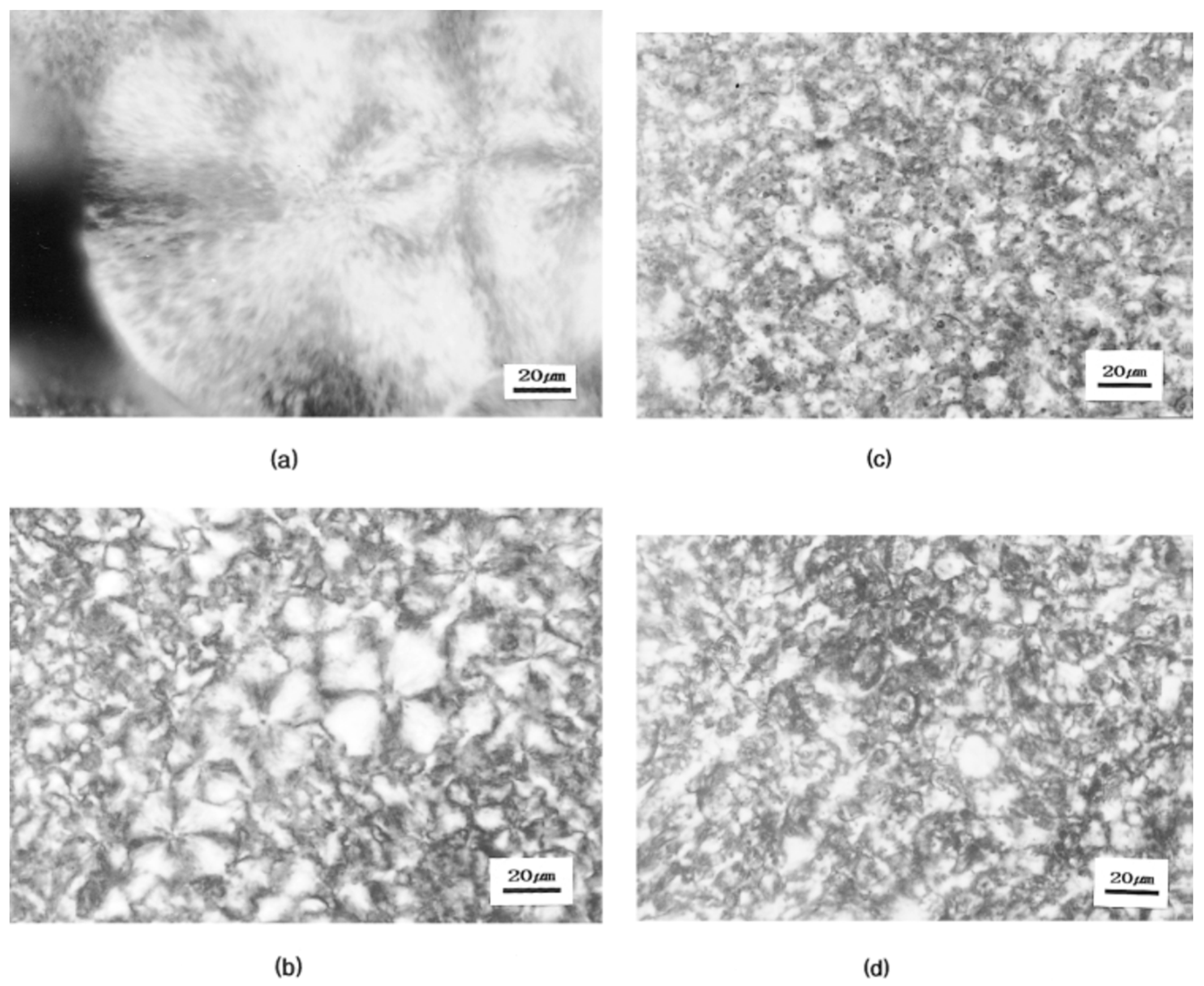 Polymers 11 01193 g005