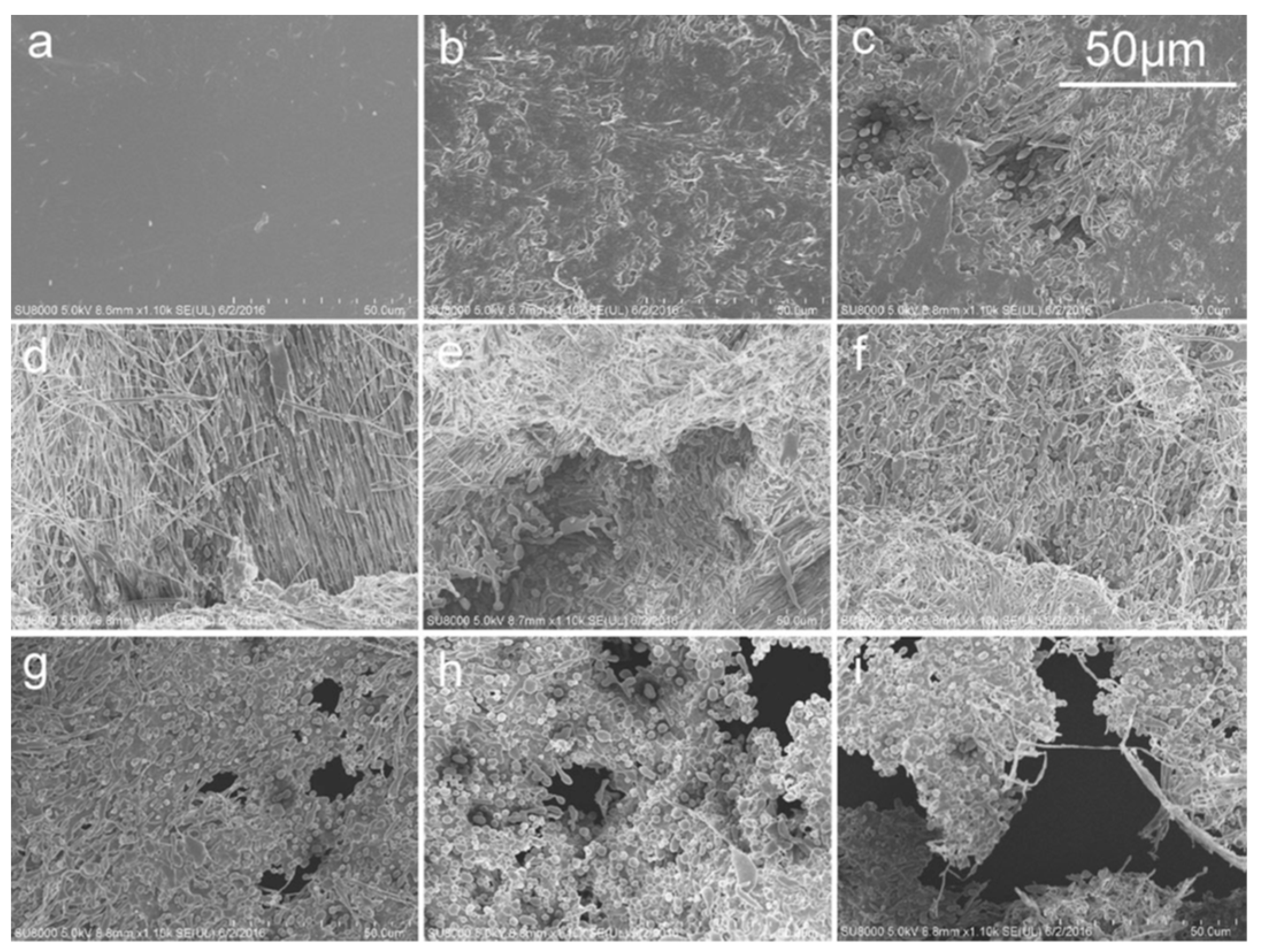 Polymers 11 01193 g008