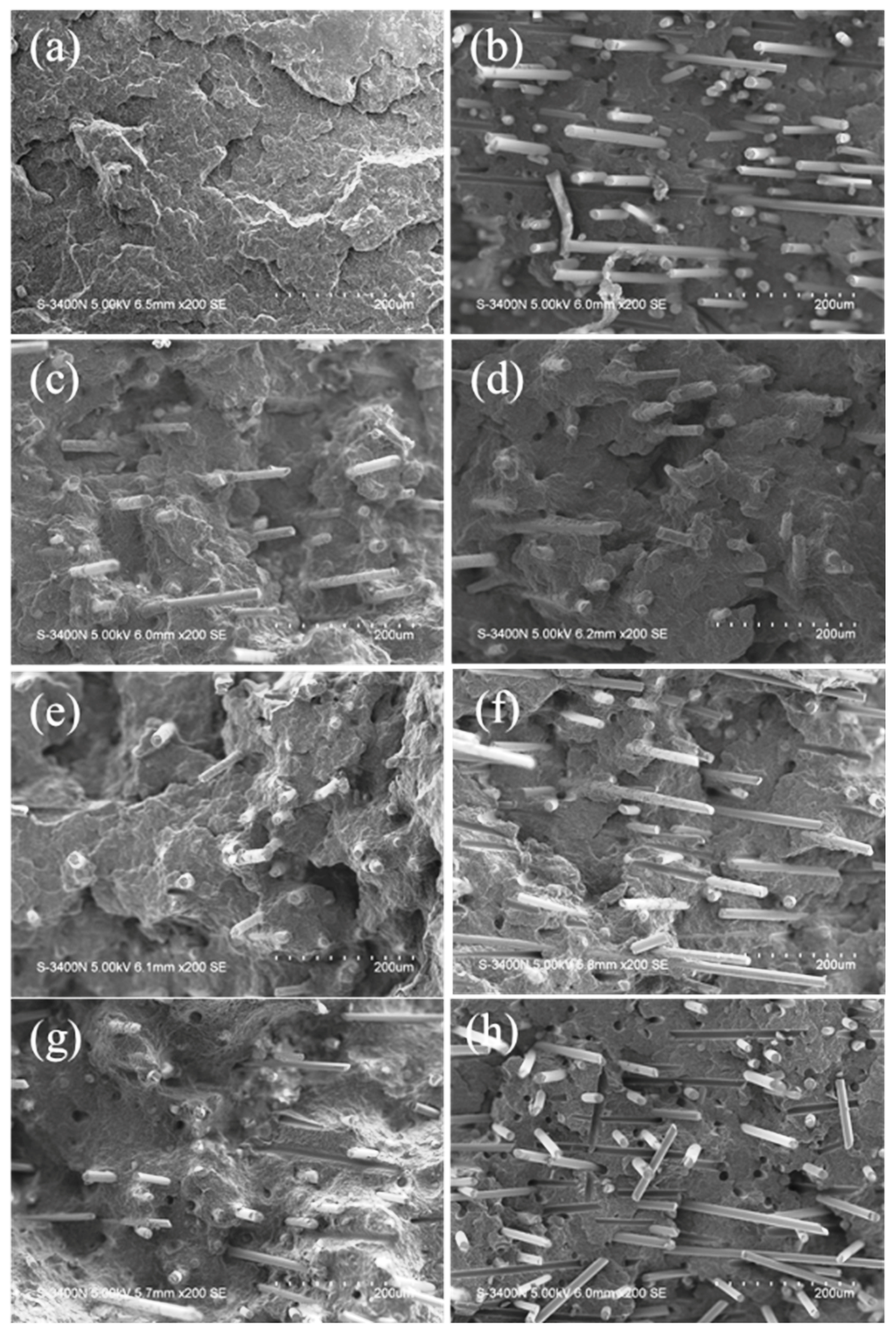 Polymers 11 01198 g006