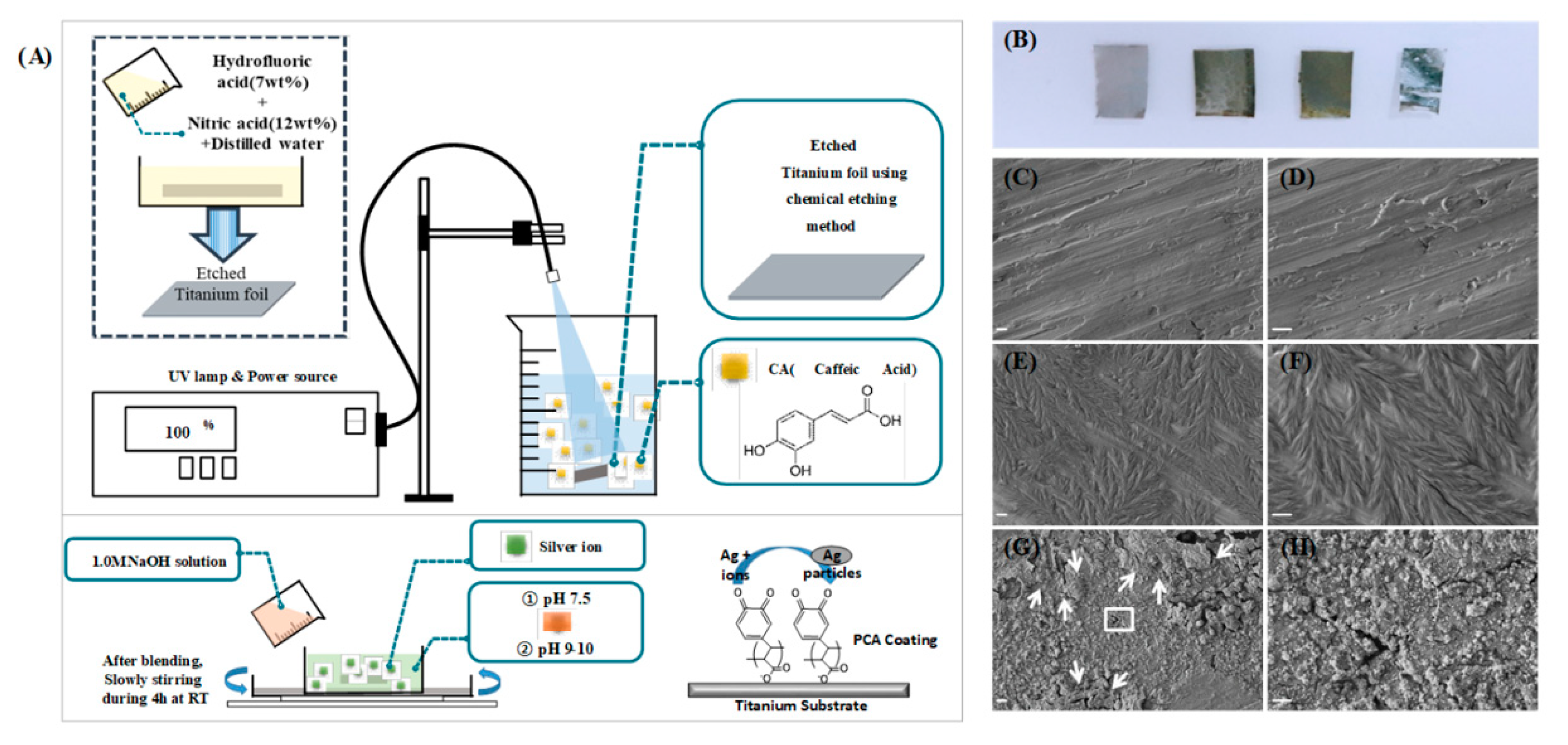 Polymers 11 01200 g001