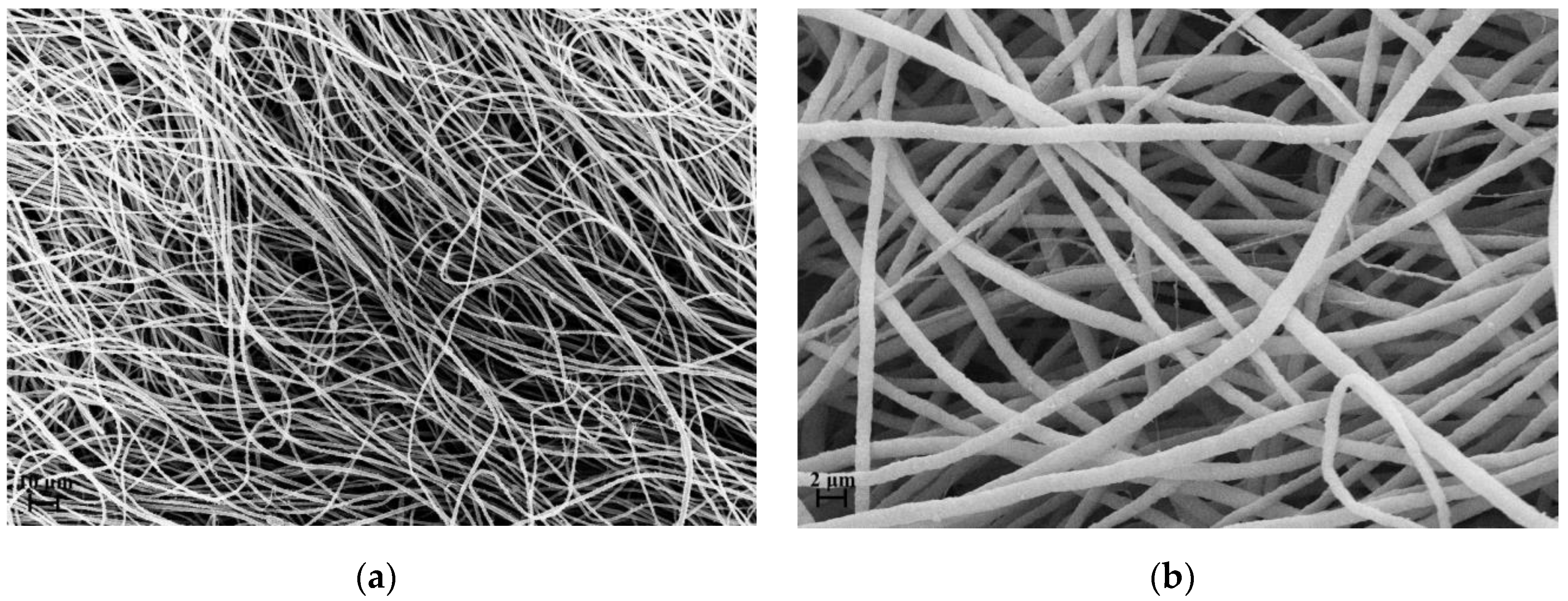 Polymers 11 01205 g005