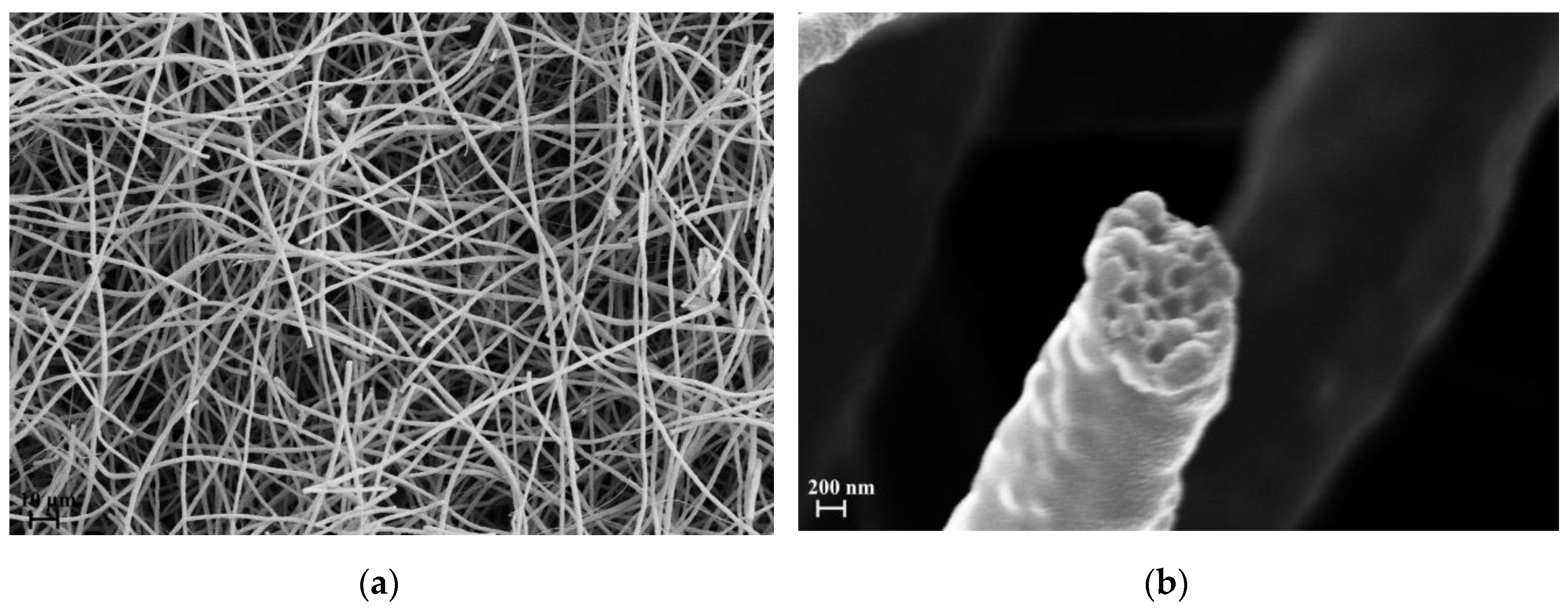 Polymers 11 01205 g006