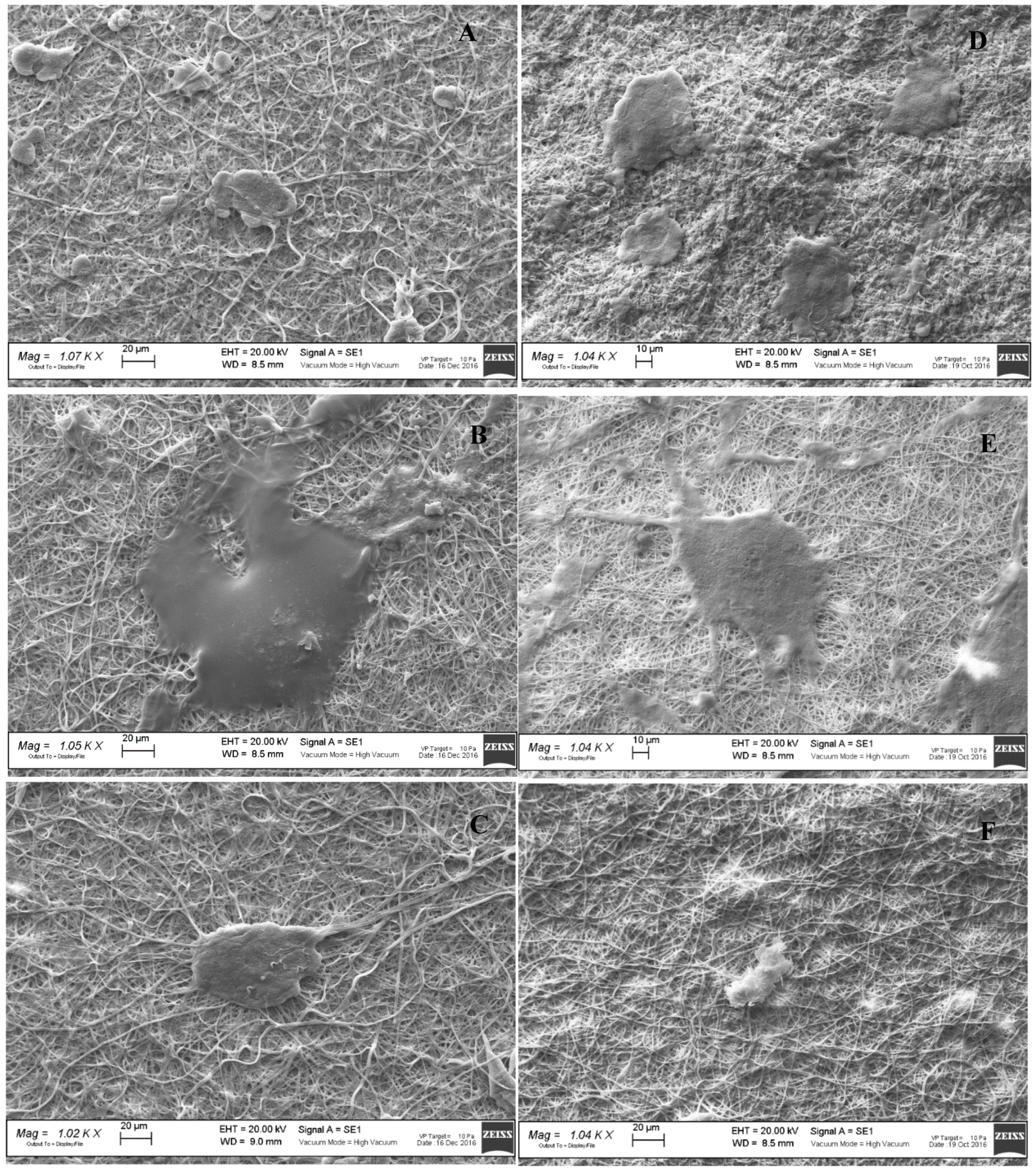Polymers 11 01207 g006