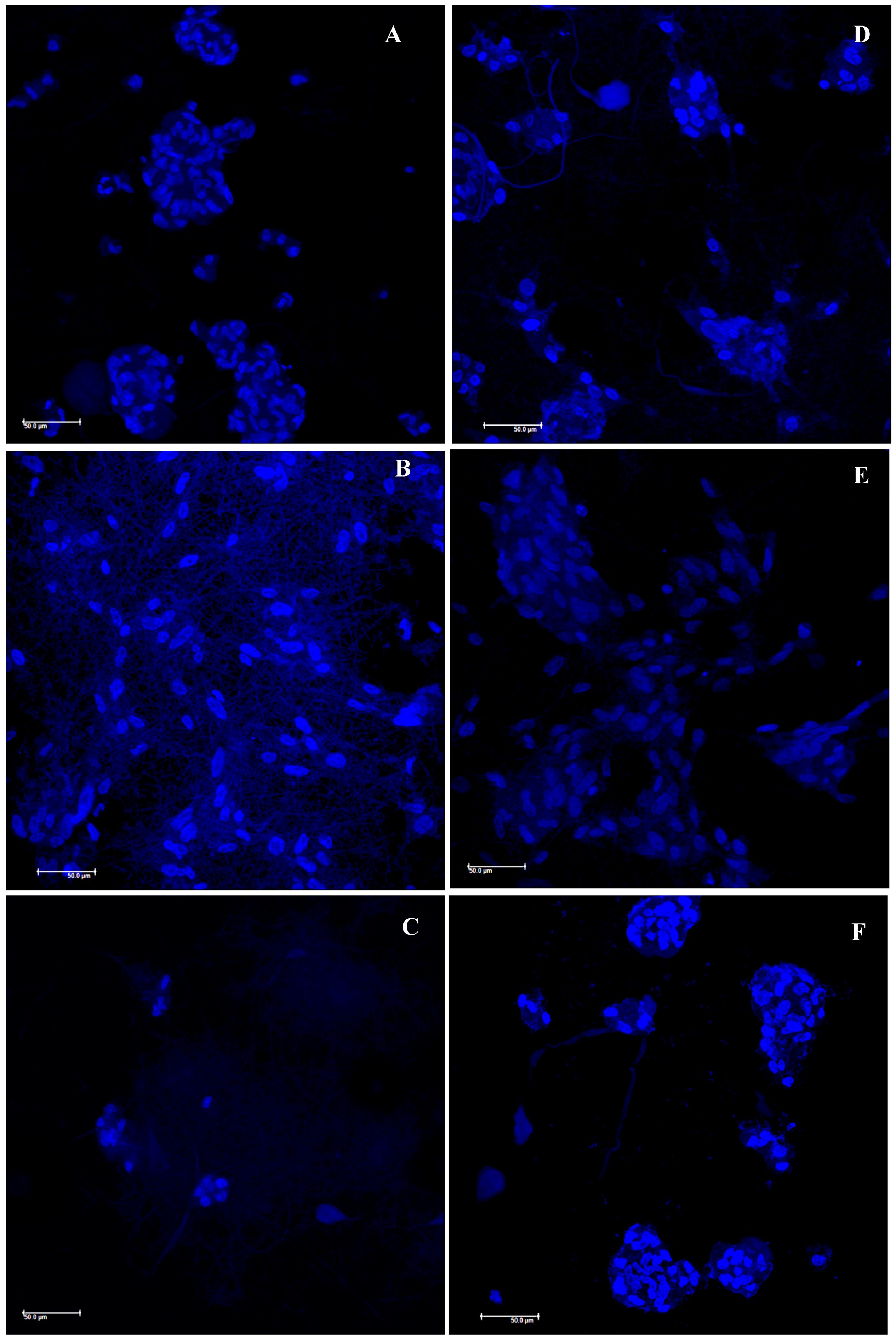 Polymers 11 01207 g007