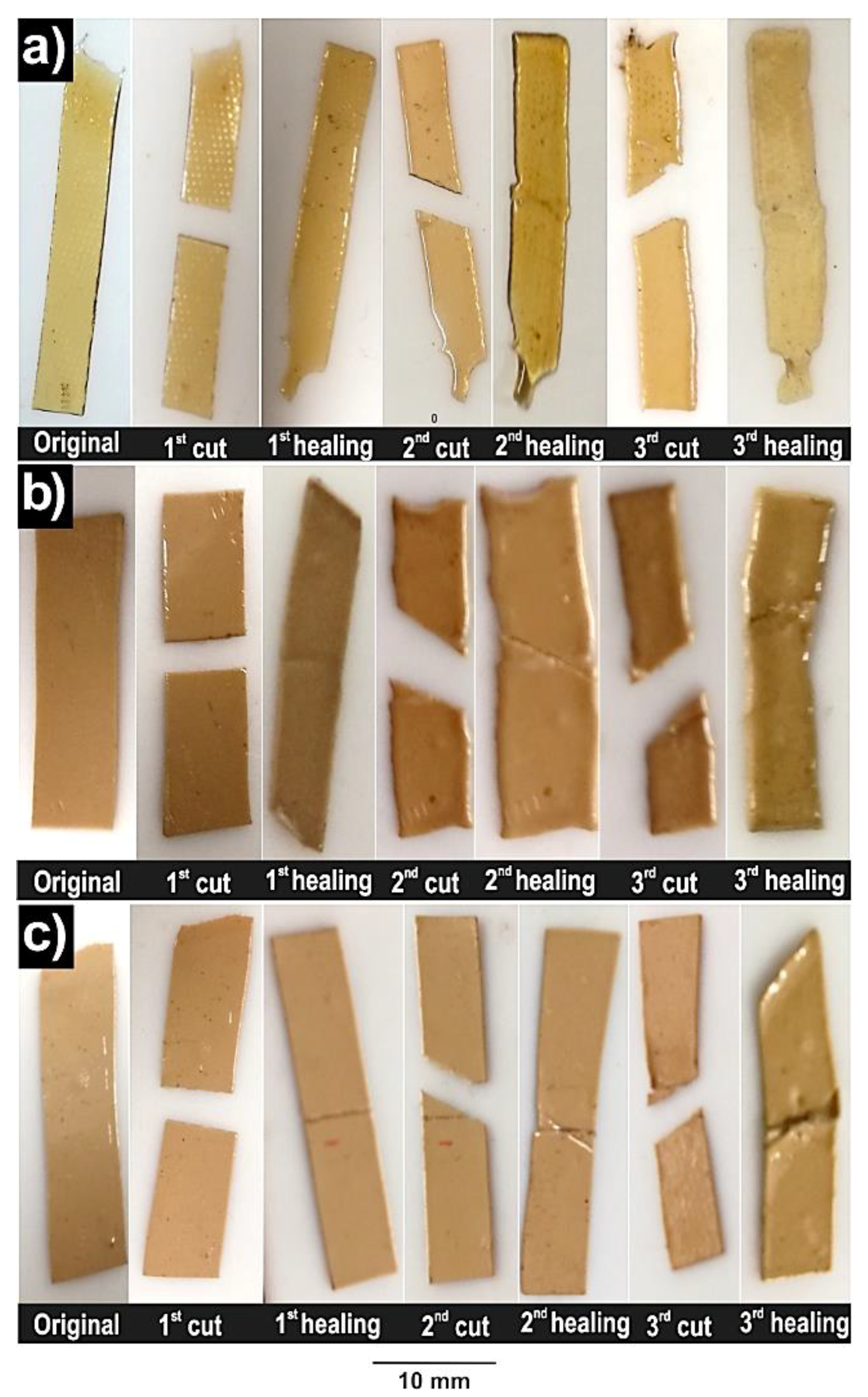Polymers 11 01209 g005