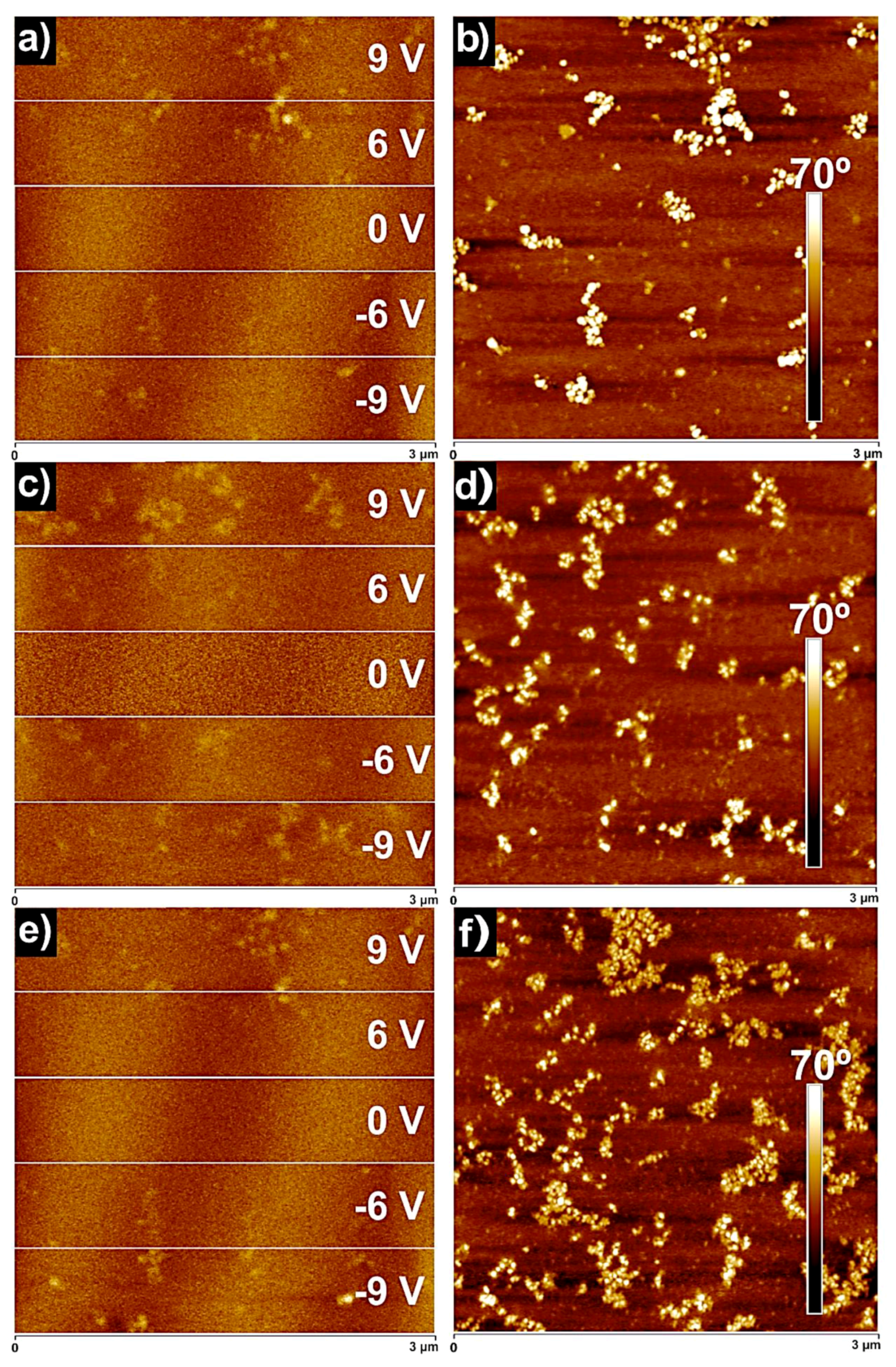 Polymers 11 01209 g007