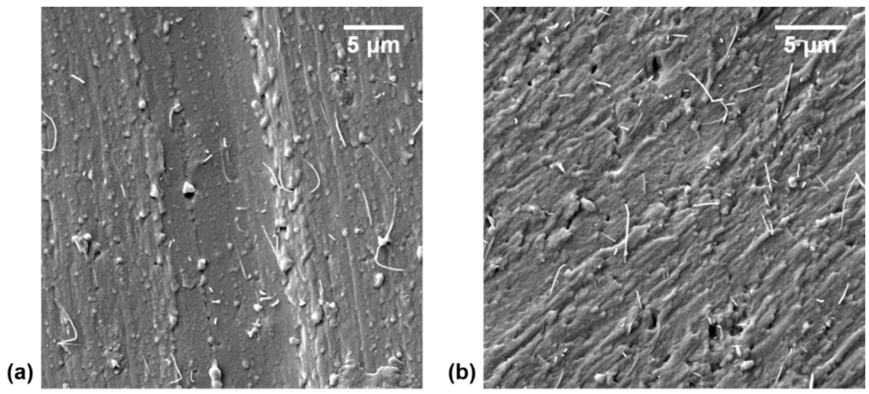 Polymers 11 01212 g002