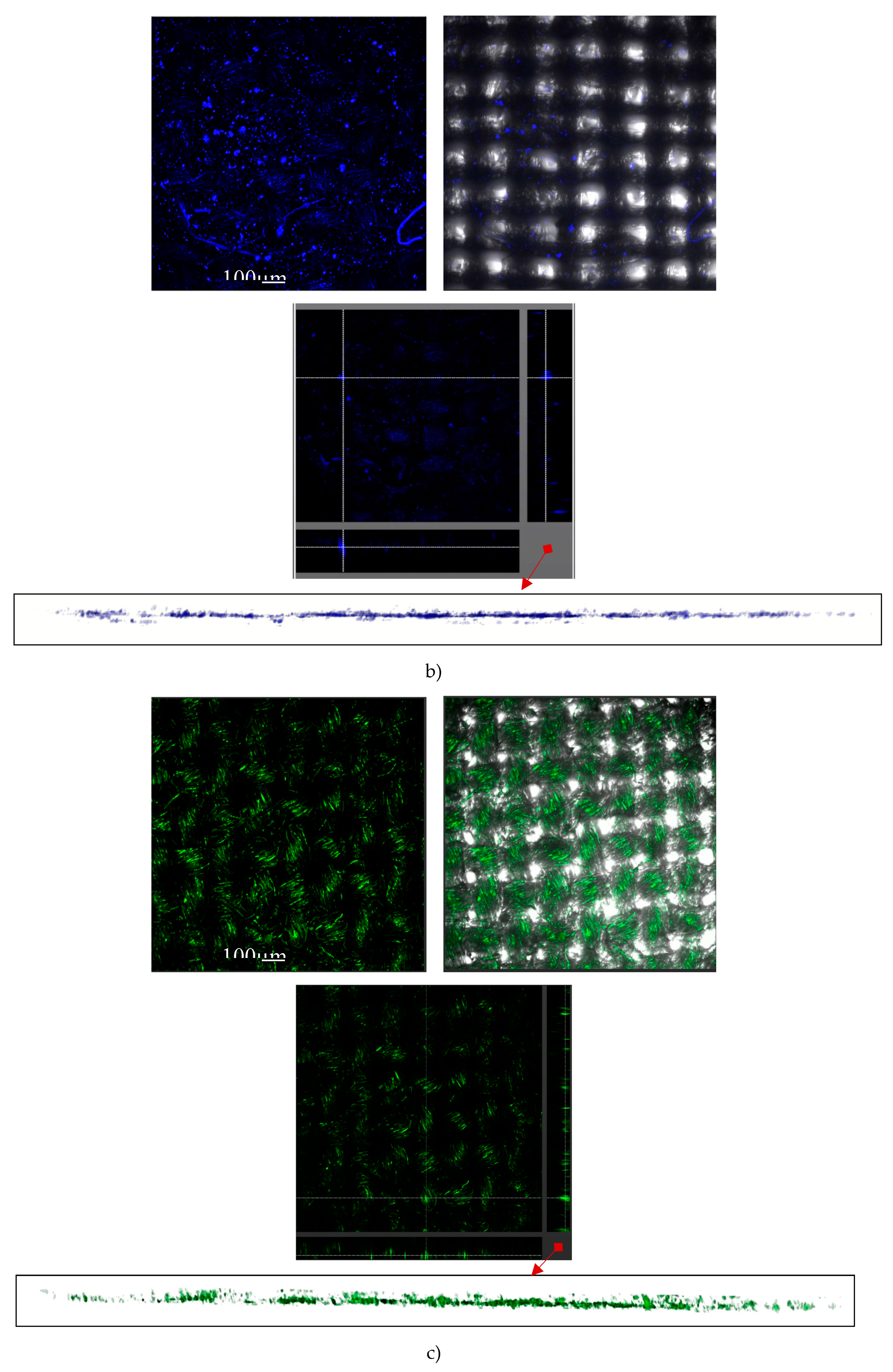 Polymers 11 01216 g009b