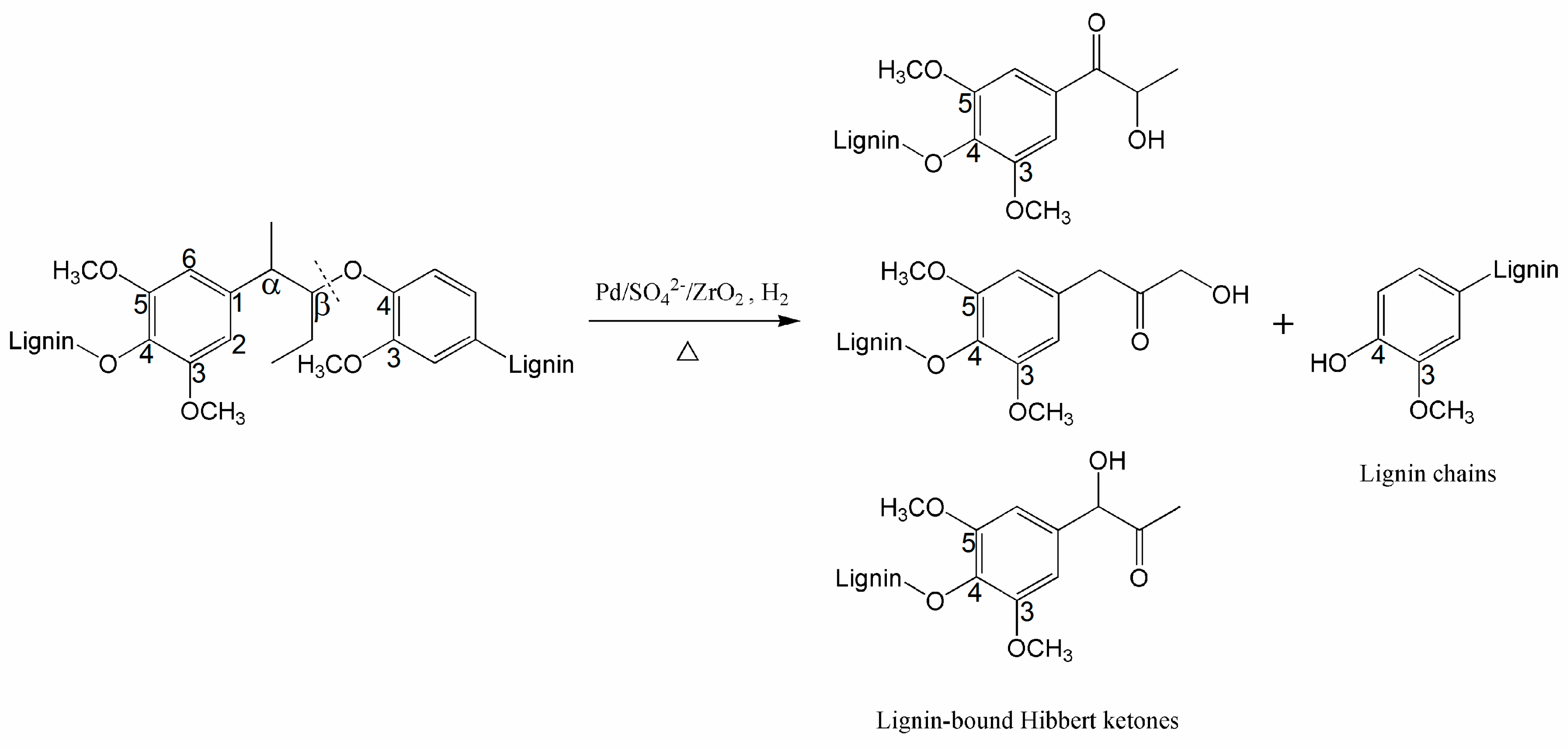 Polymers 11 01218 sch001 Polymers 11 01218 sch001