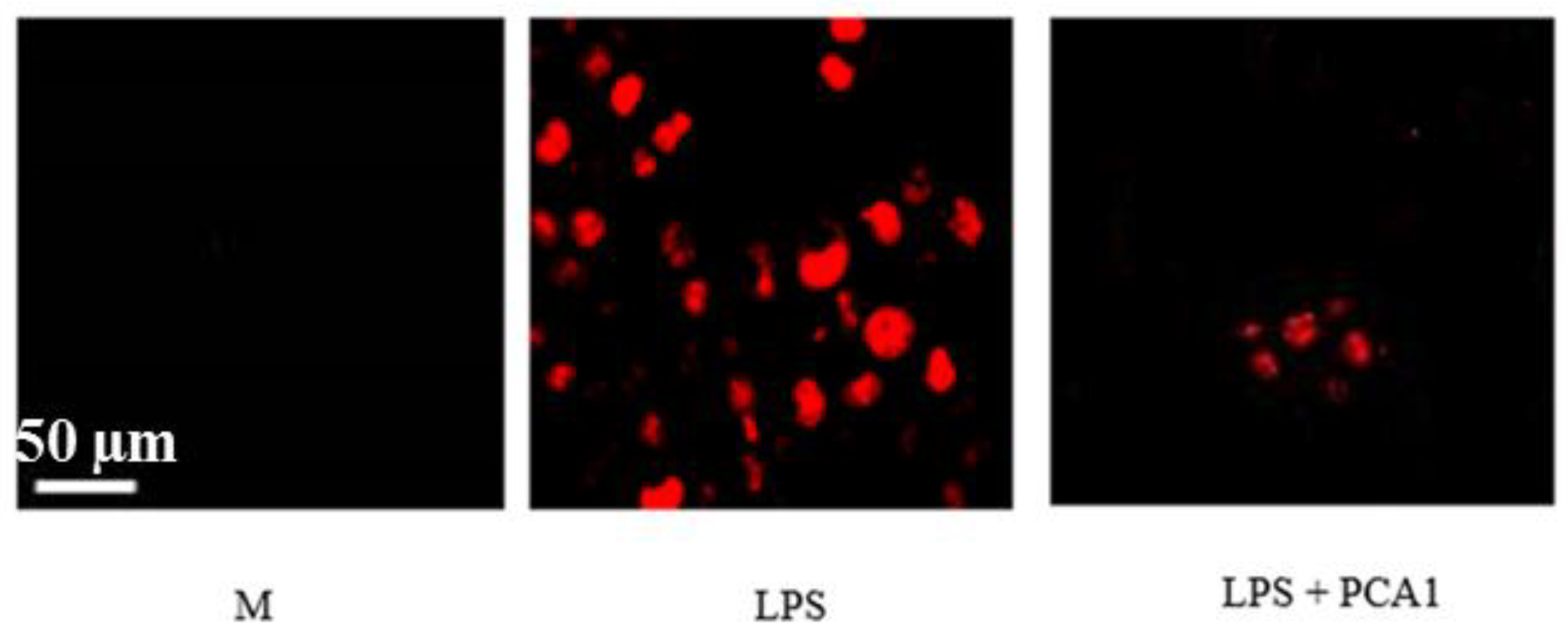 Polymers 11 01219 g011