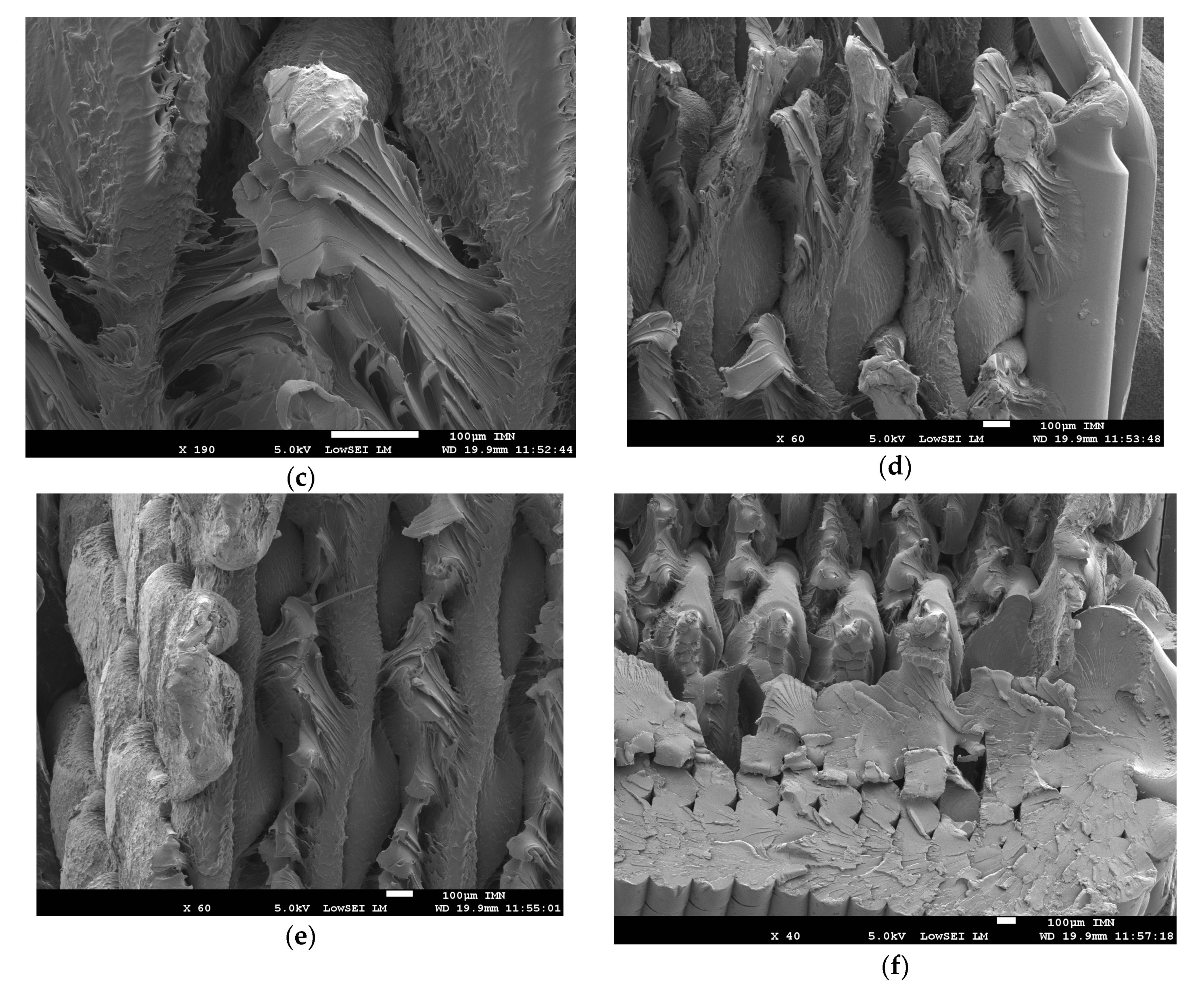 Polymers 11 01220 g008b