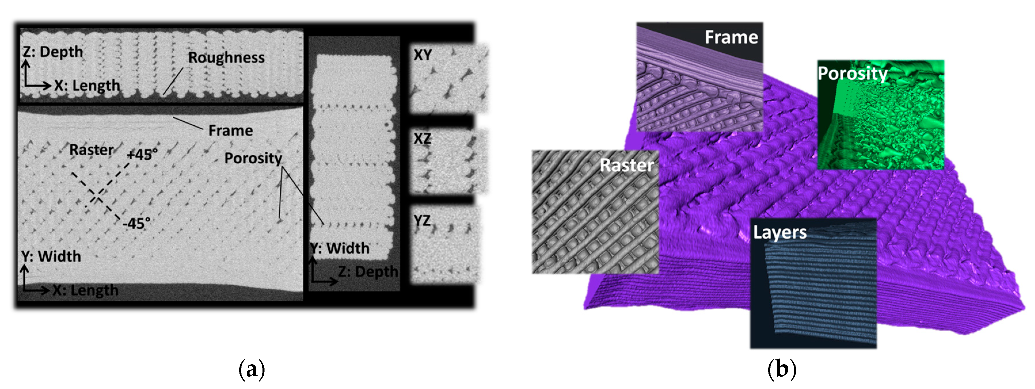 Polymers 11 01220 g009