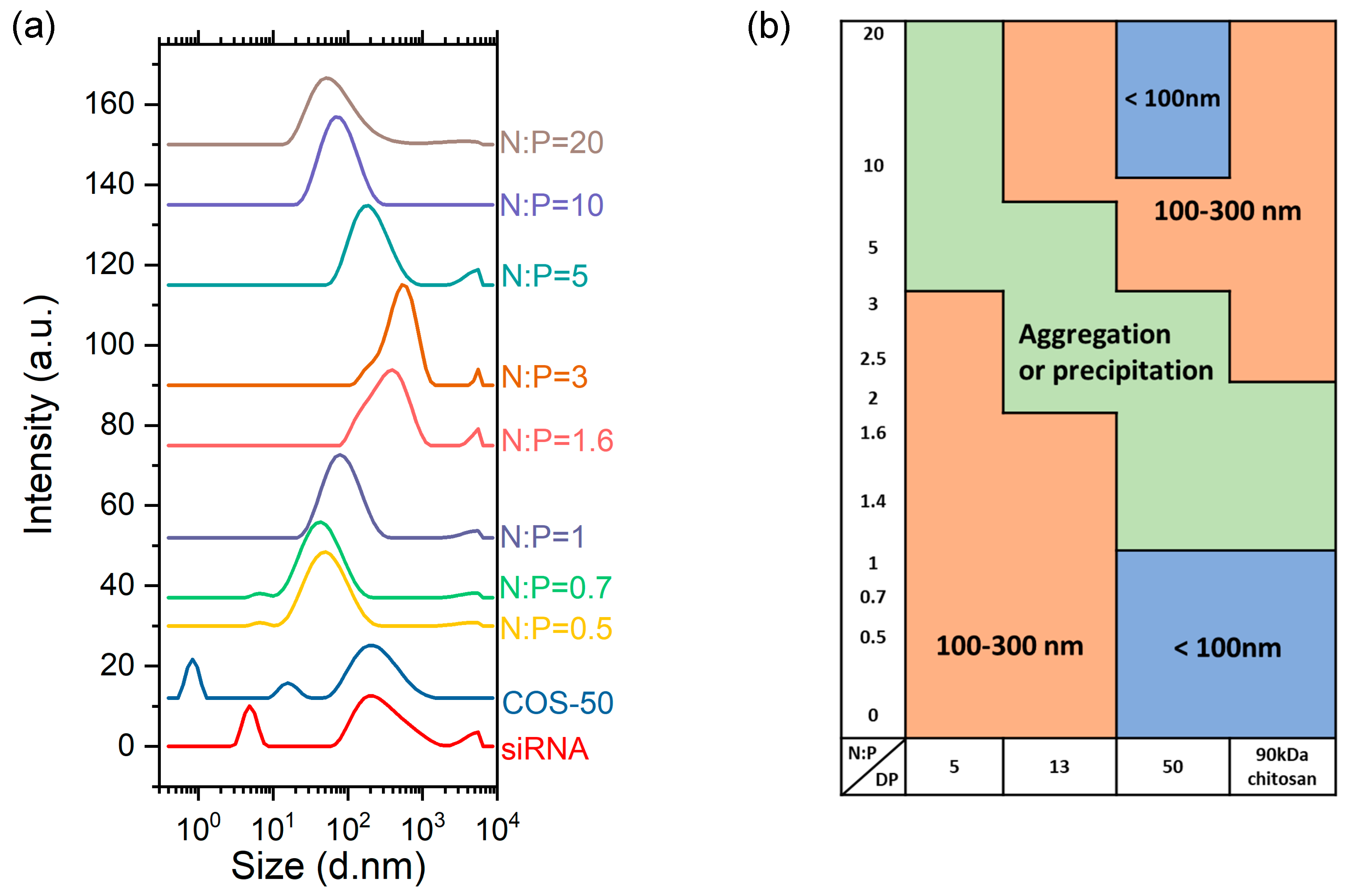 Polymers 11 01236 g005