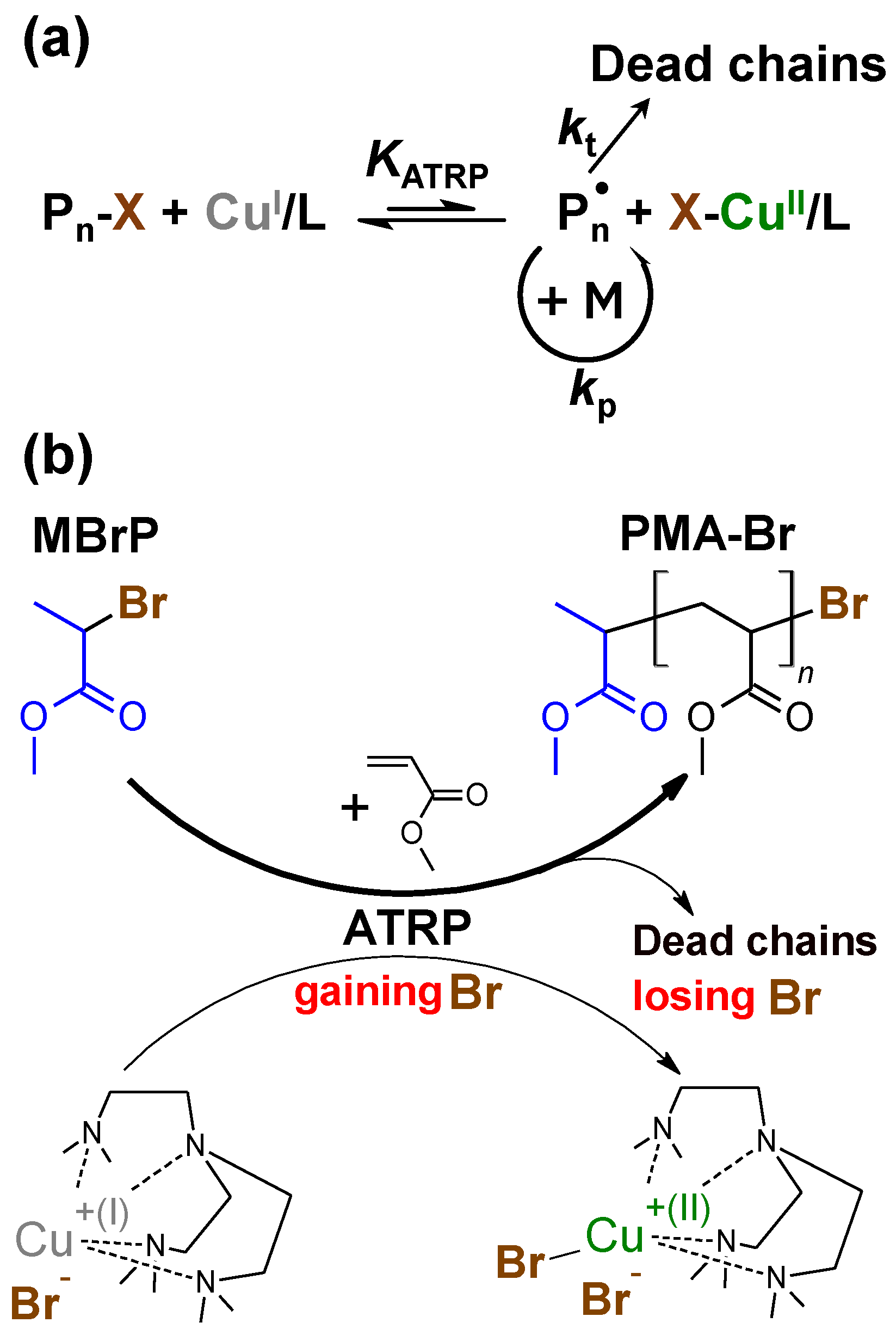 Polymers 11 01238 sch001