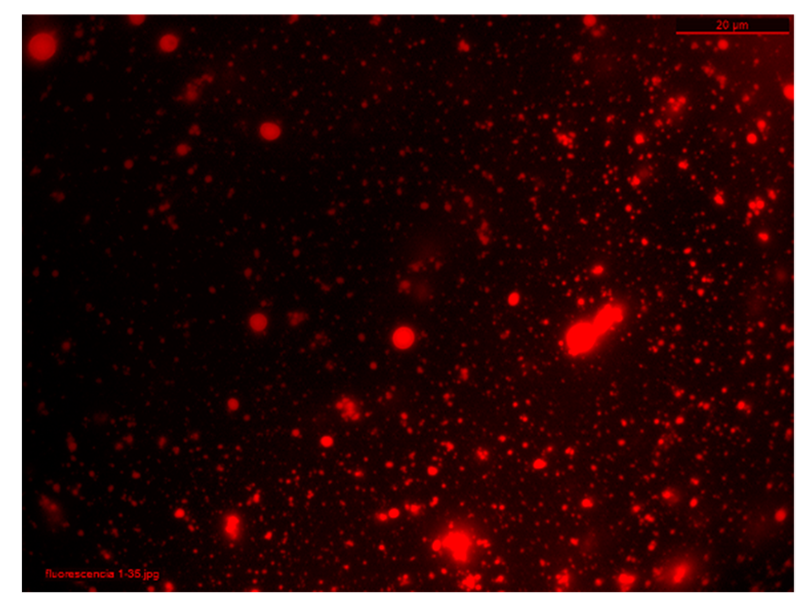 Polymers 11 01245 g008
