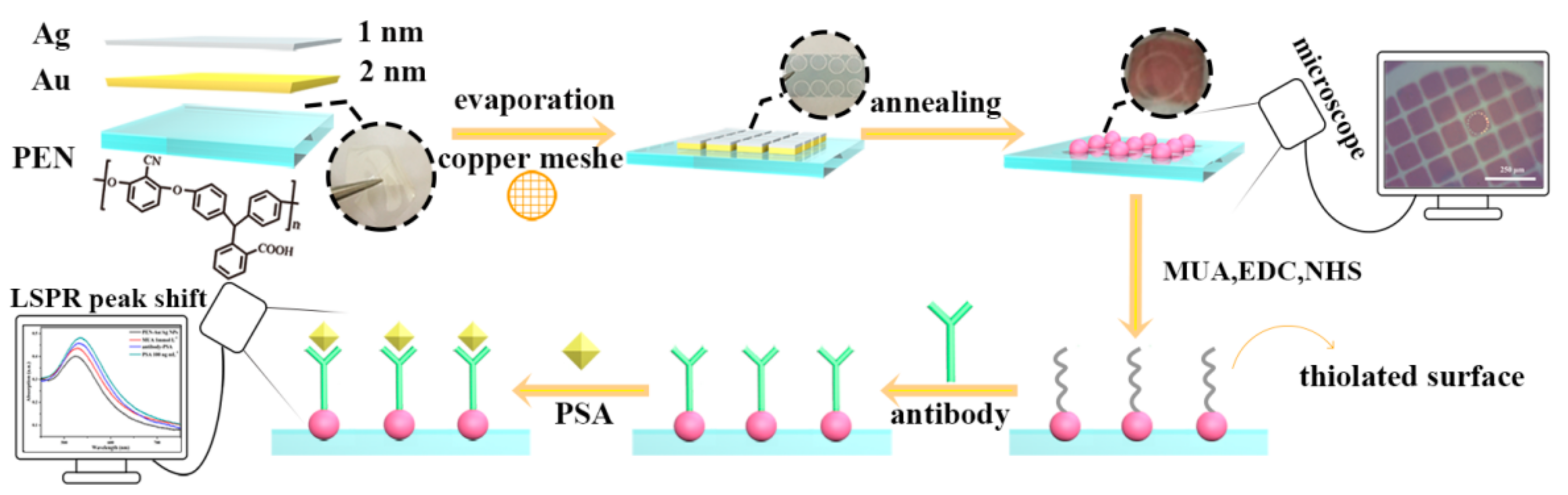 Polymers 11 01257 sch001