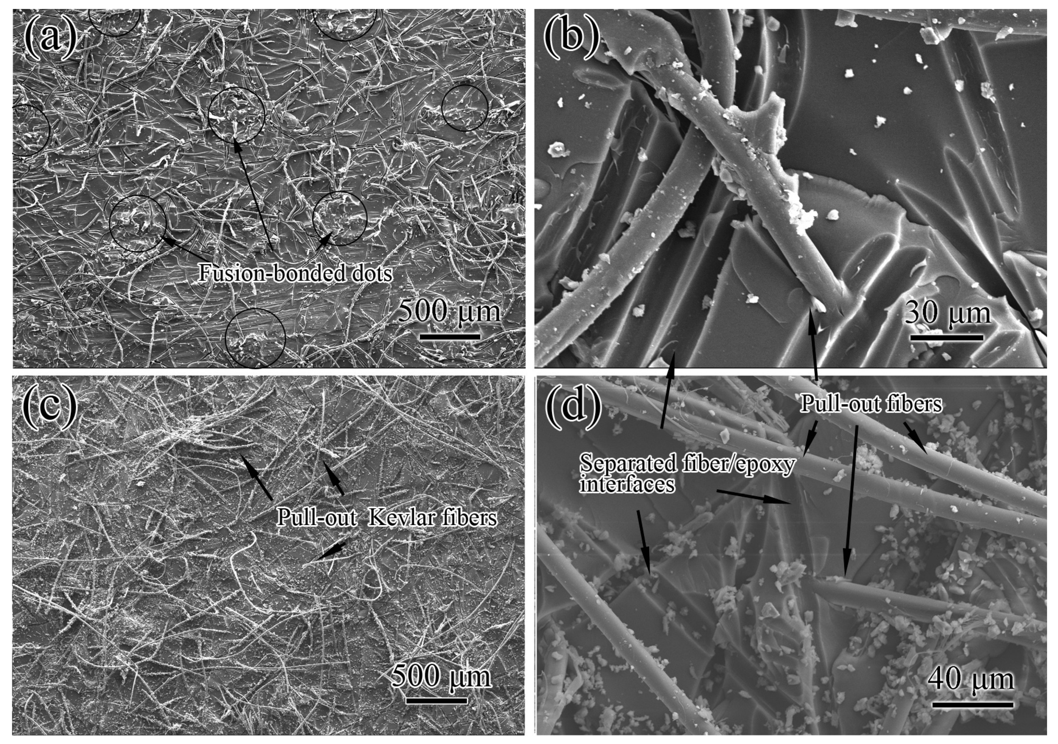 Polymers 11 01260 g005