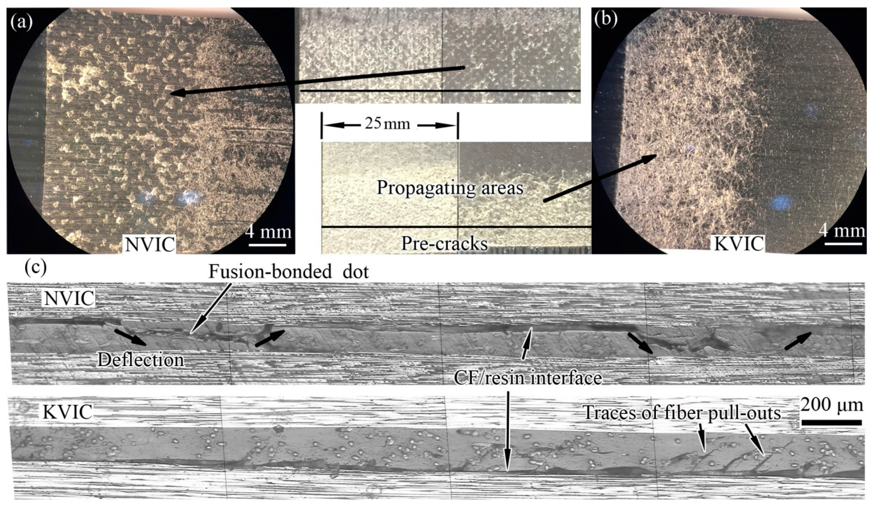 Polymers 11 01260 g006